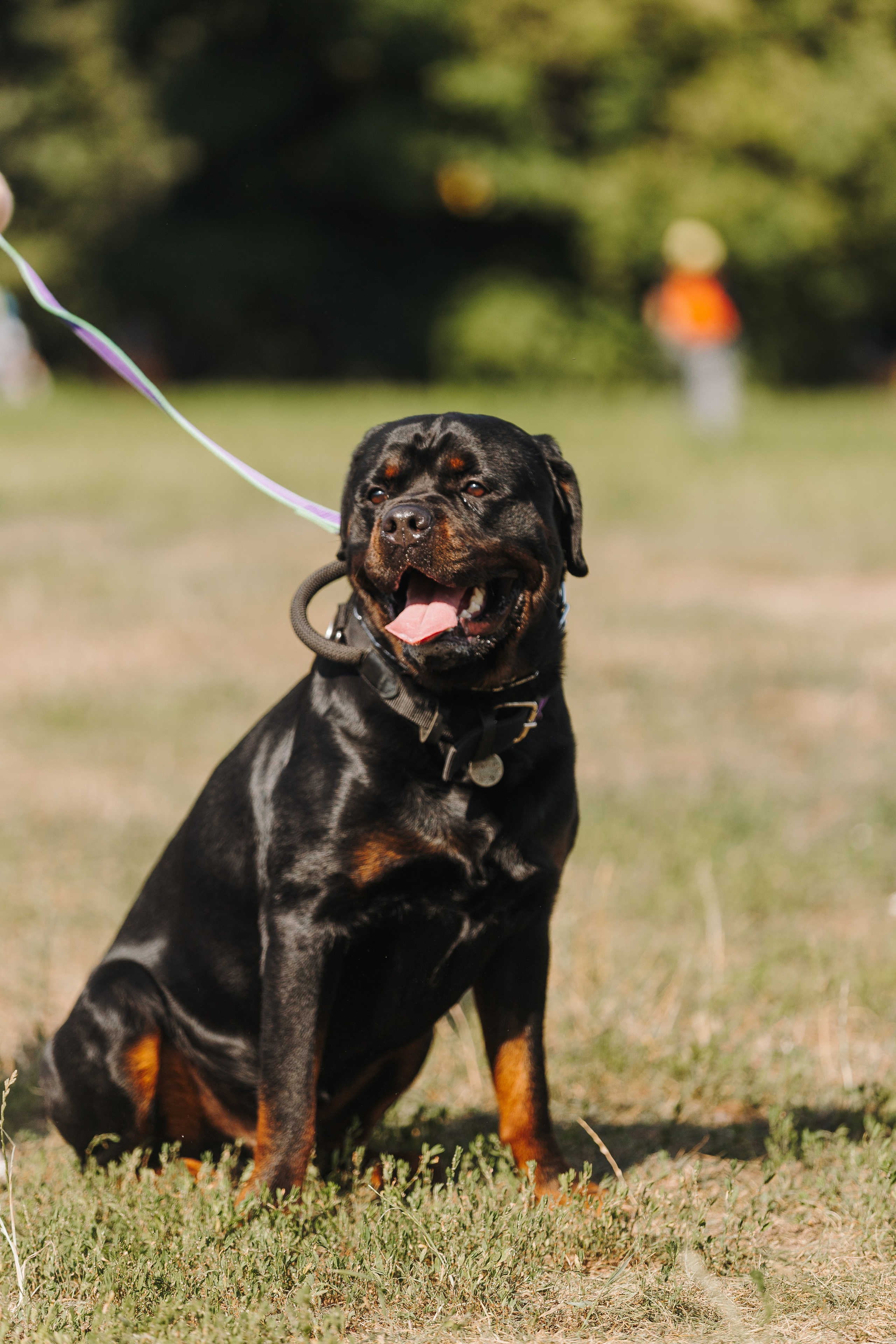 Petshop Sup day. Фотограф анималист Кристина Карпова, Москва