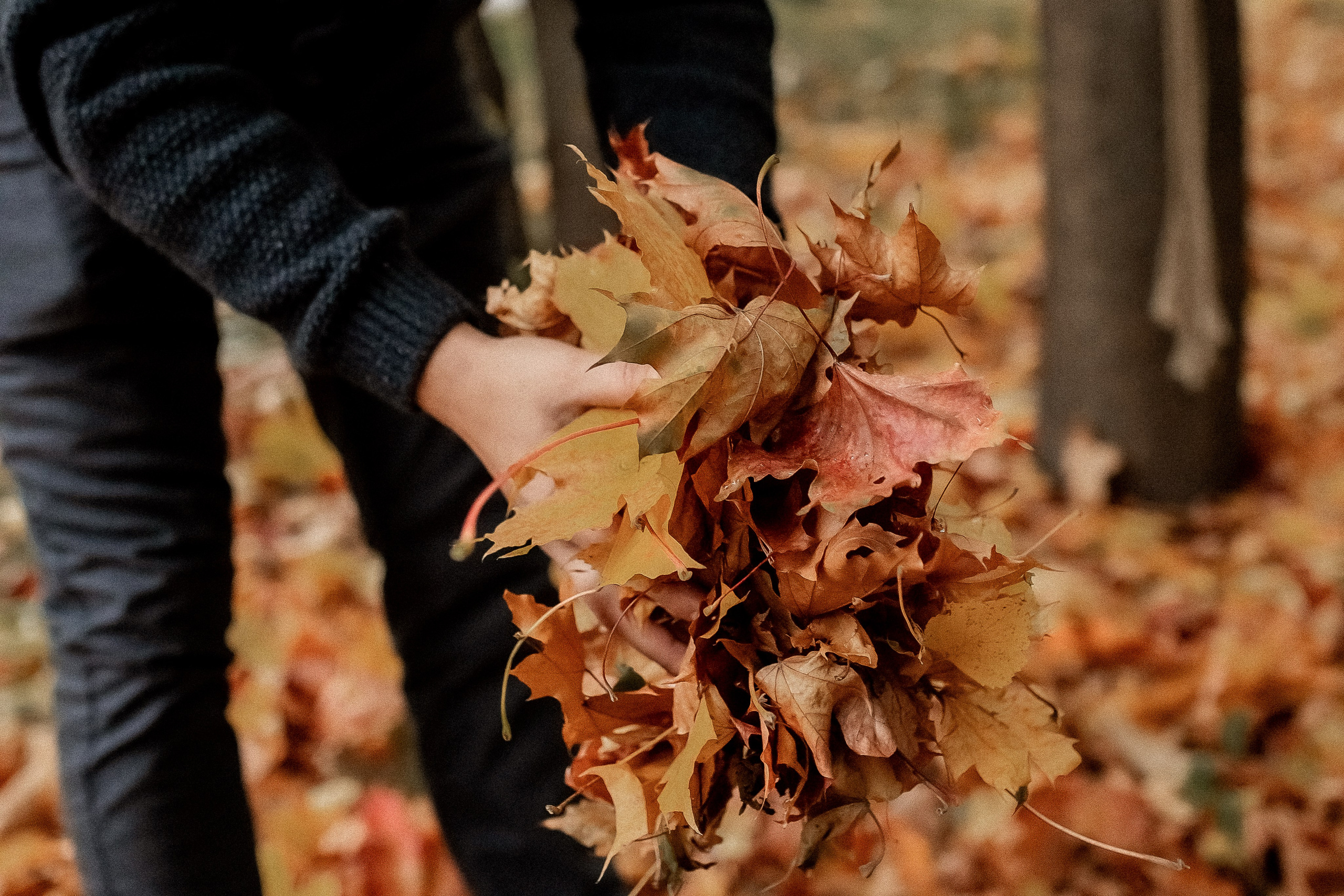 Свадебная прогулка в парке Царицыно. Профессиональный фотограф, Москва |Видное Елена Елизарова