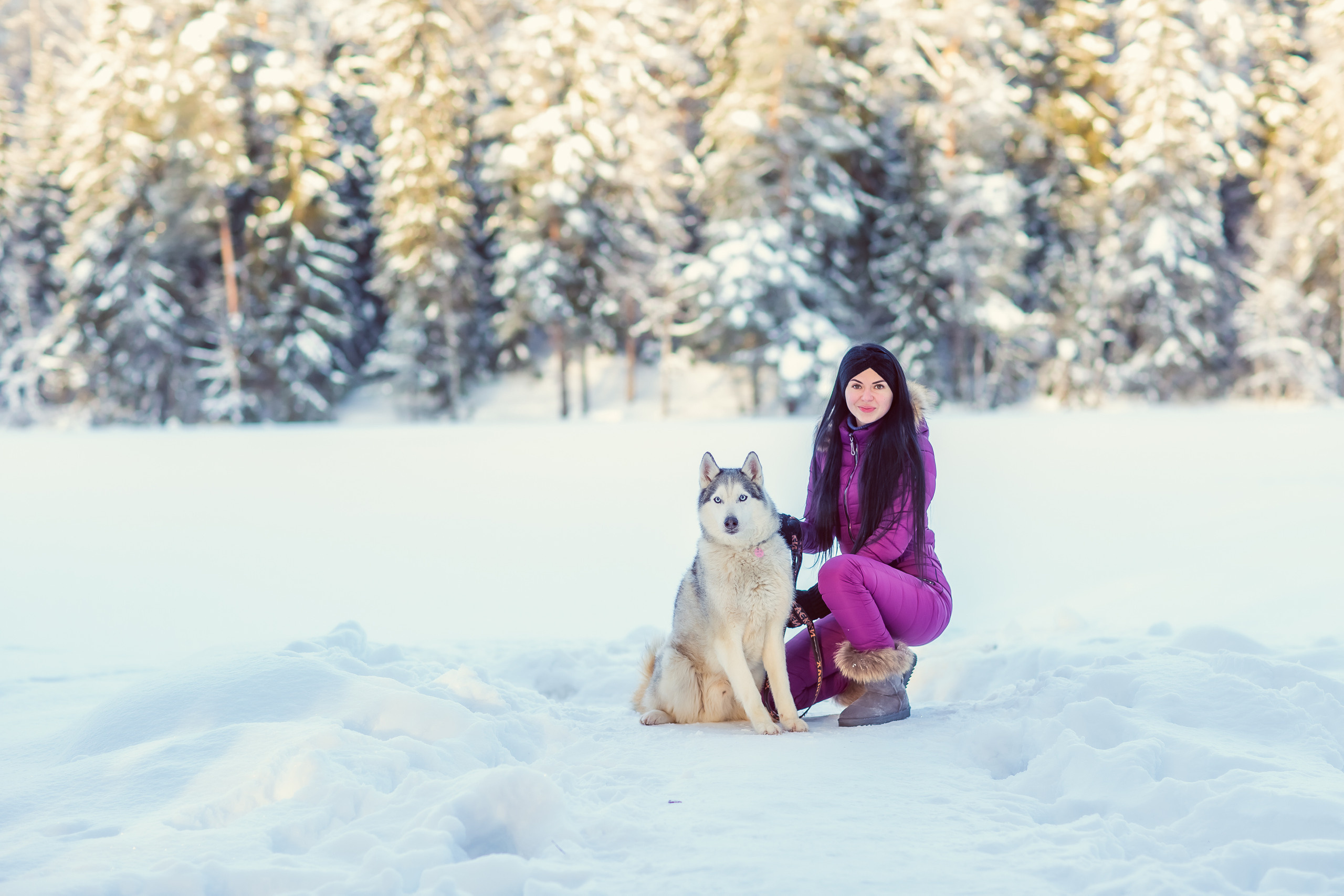 Зимняя фотосессия с Хаски. Репортажный, семейный, свадебный фотограф Санкт-Петербург Ольга Лесюк