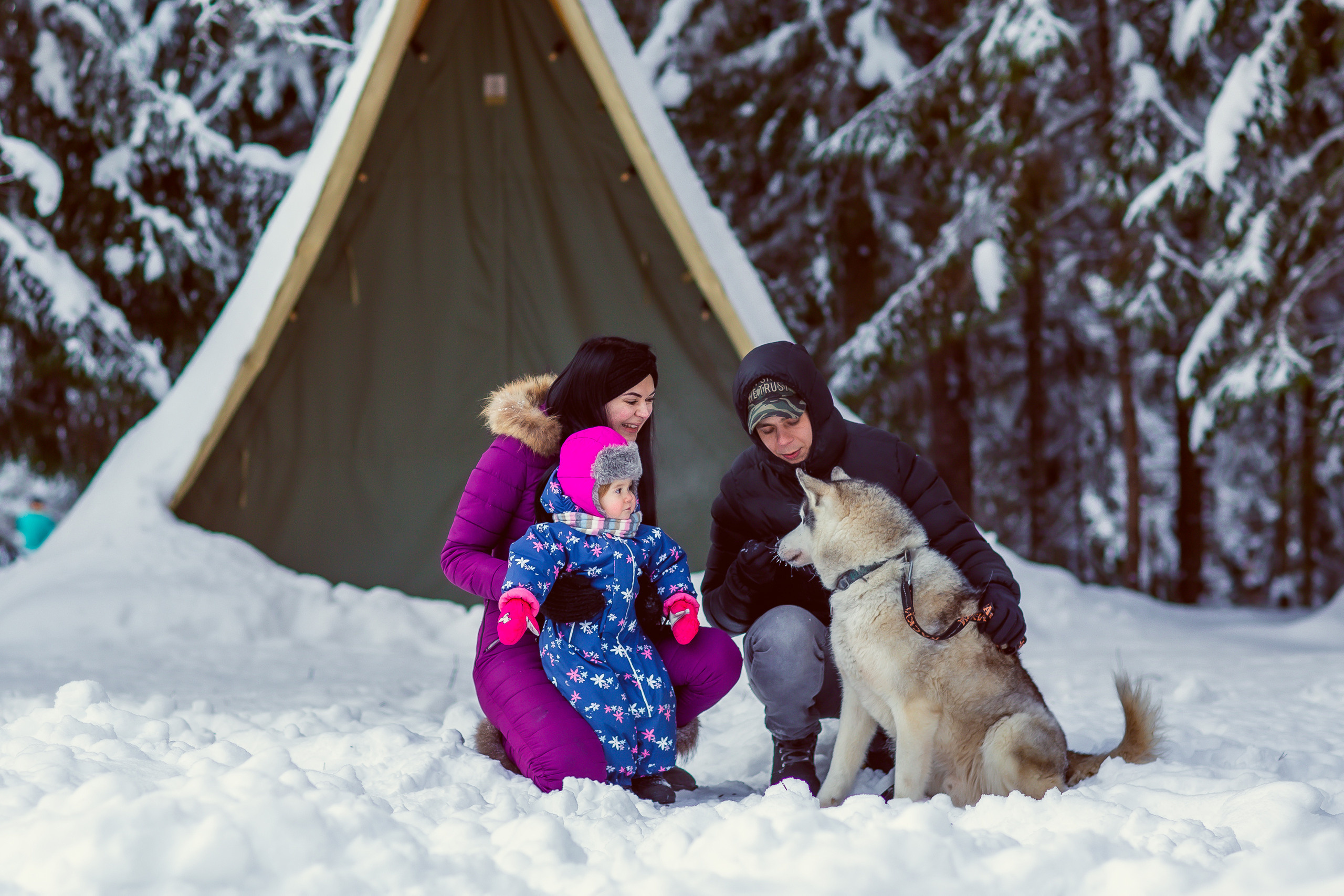Зимняя фотосессия с Хаски. Репортажный, семейный, свадебный фотограф Санкт-Петербург Ольга Лесюк