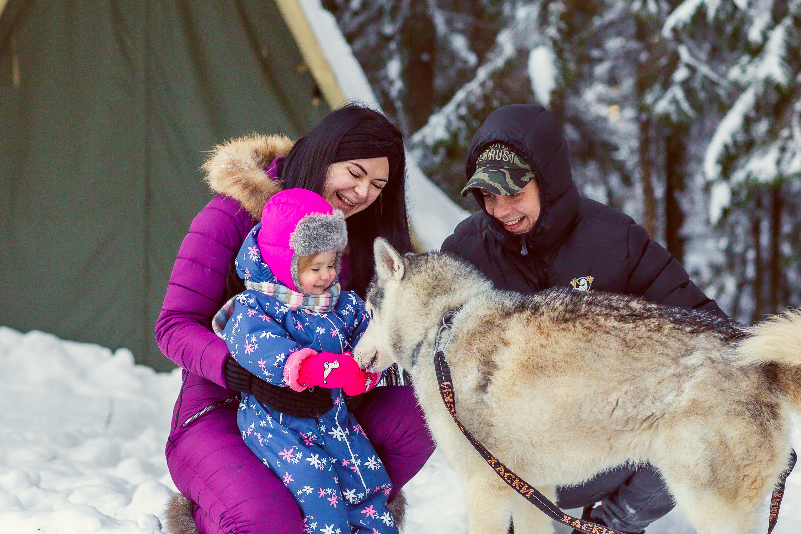 Зимняя фотосессия с Хаски. Репортажный, семейный, свадебный фотограф Санкт-Петербург Ольга Лесюк