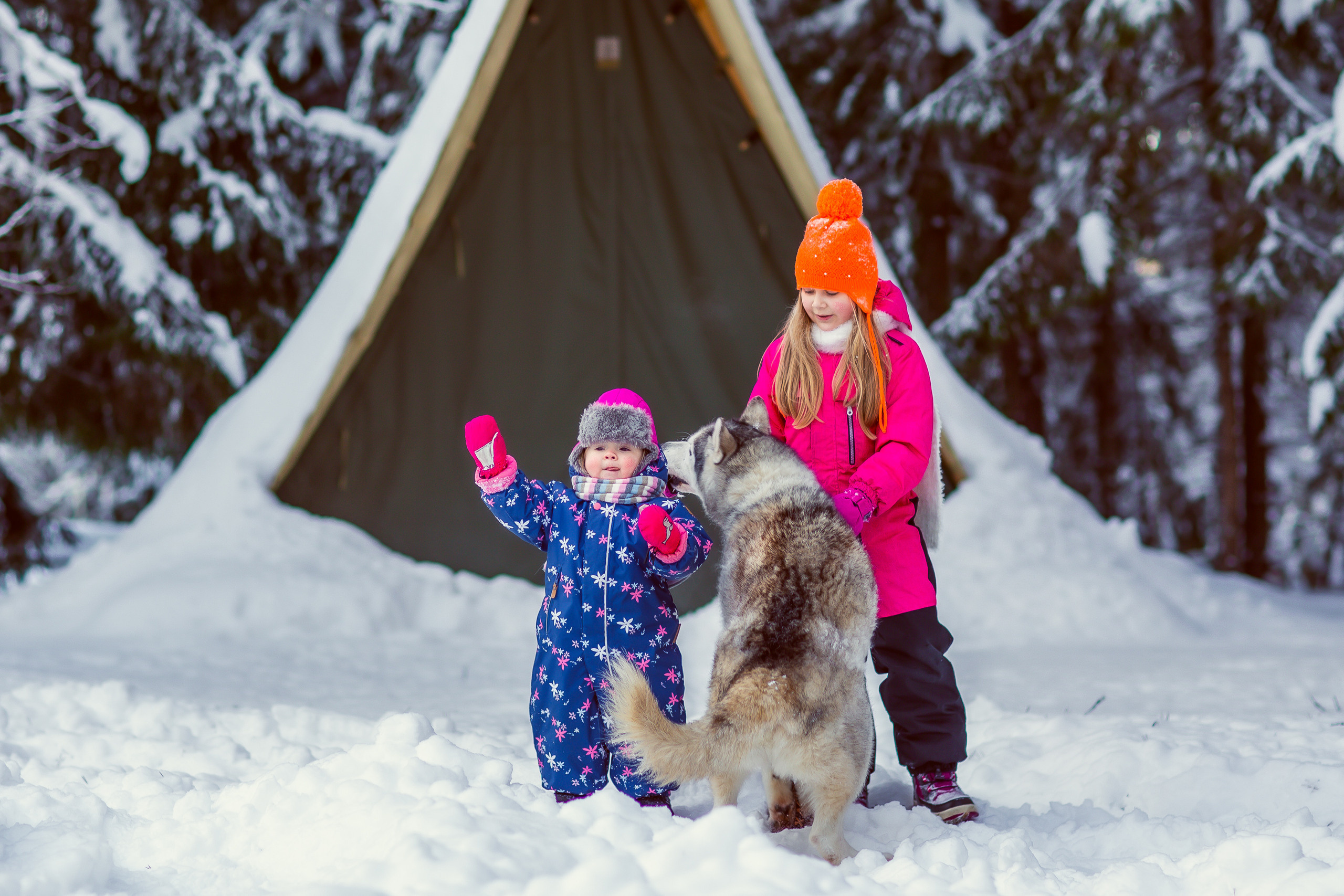 Зимняя фотосессия с Хаски. Репортажный, семейный, свадебный фотограф Санкт-Петербург Ольга Лесюк