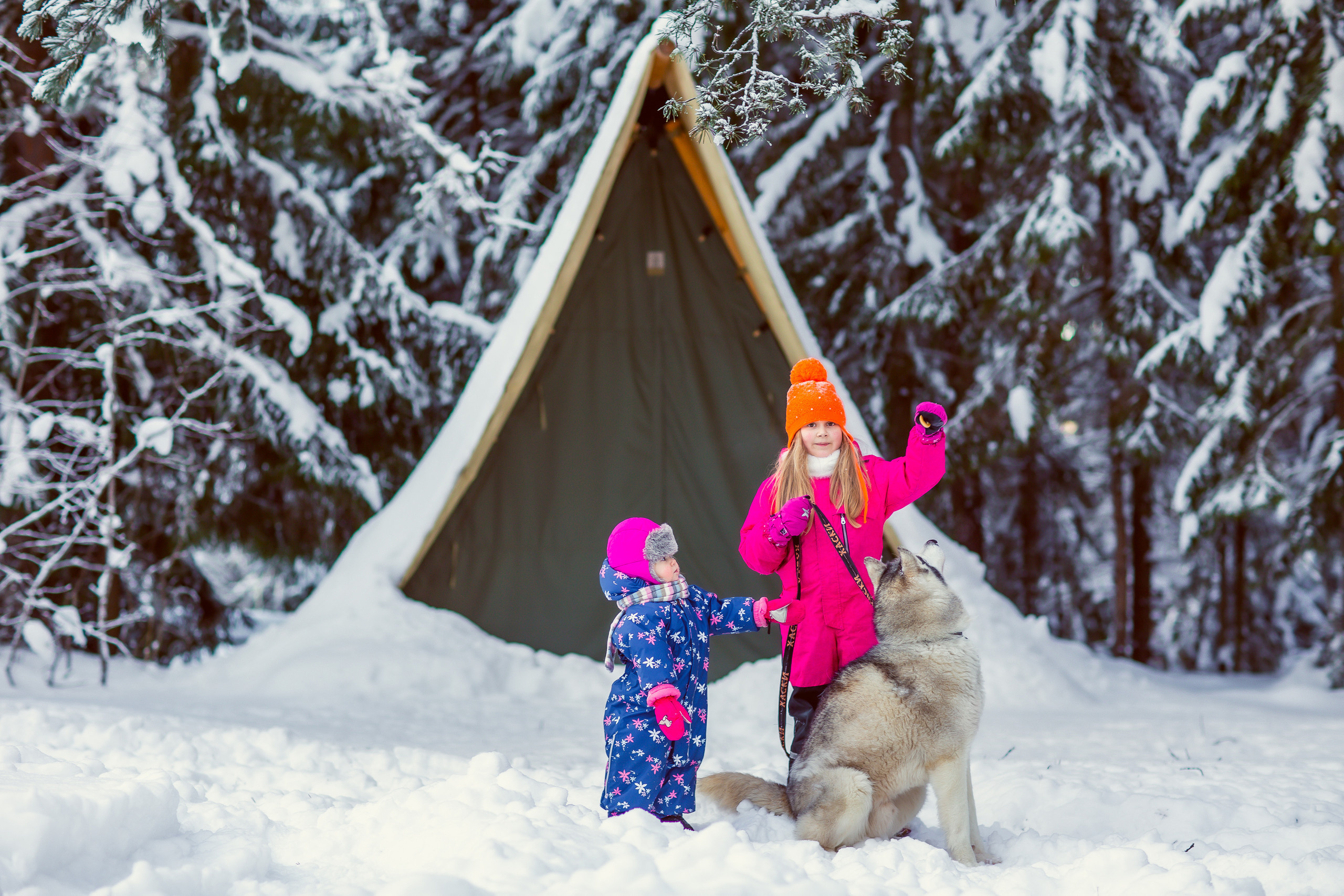 Зимняя фотосессия с Хаски. Репортажный, семейный, свадебный фотограф Санкт-Петербург Ольга Лесюк