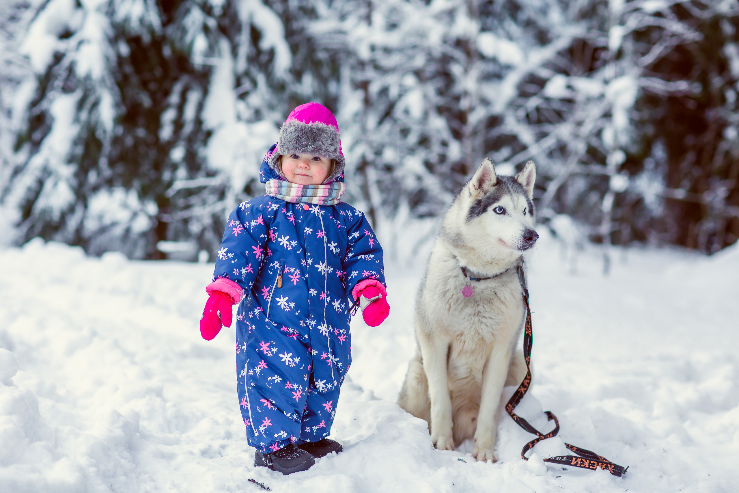 Зимняя фотосессия с Хаски. Репортажный, семейный, свадебный фотограф Санкт-Петербург Ольга Лесюк