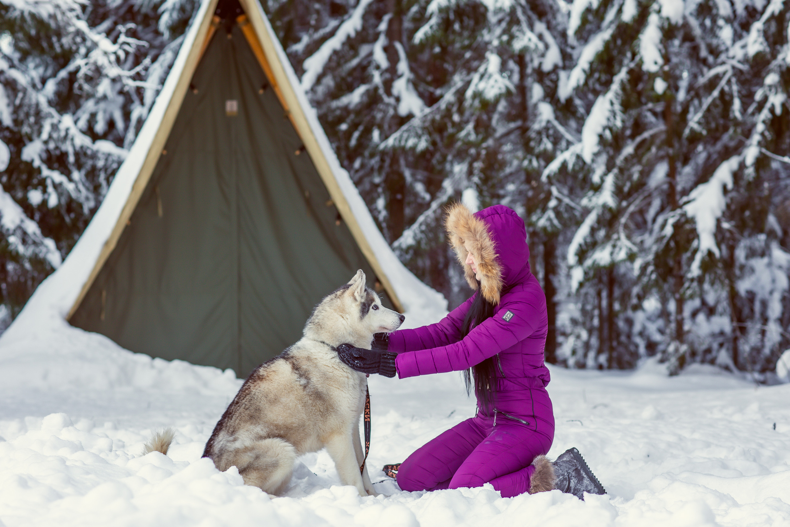 Зимняя фотосессия с Хаски. Репортажный, семейный, свадебный фотограф Санкт-Петербург Ольга Лесюк