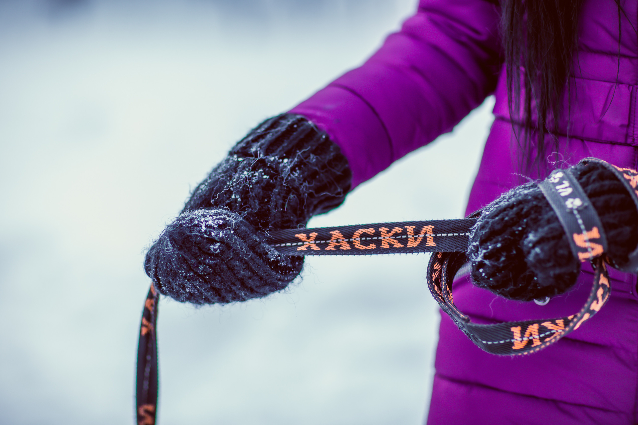 Зимняя фотосессия с Хаски. Репортажный, семейный, свадебный фотограф Санкт-Петербург Ольга Лесюк