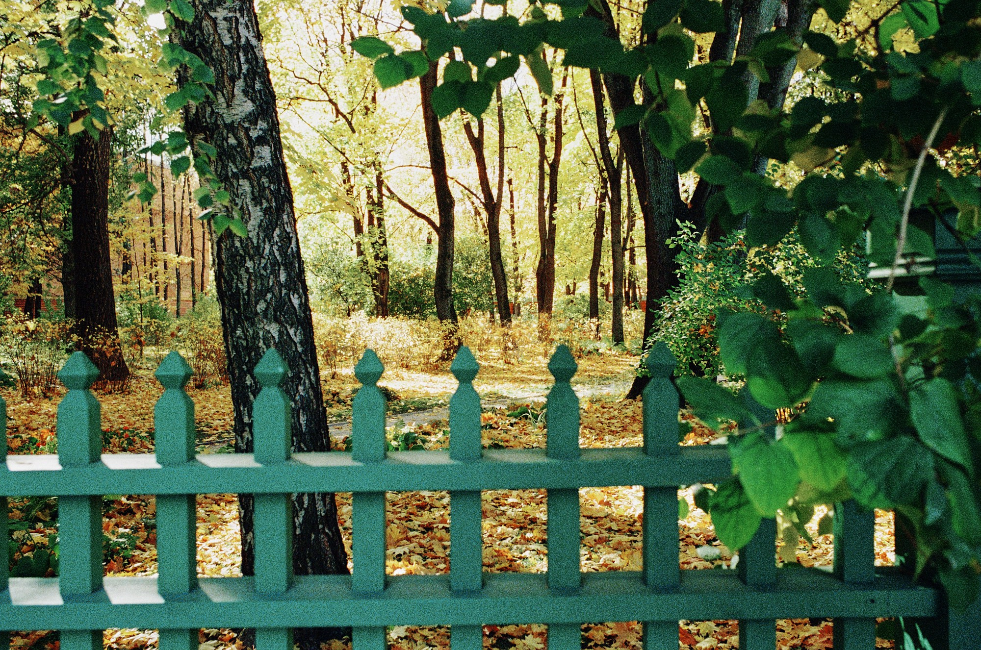 The Lev Tolstoy House Museum. Another person Pavel Potseluev. A photographer in 2025