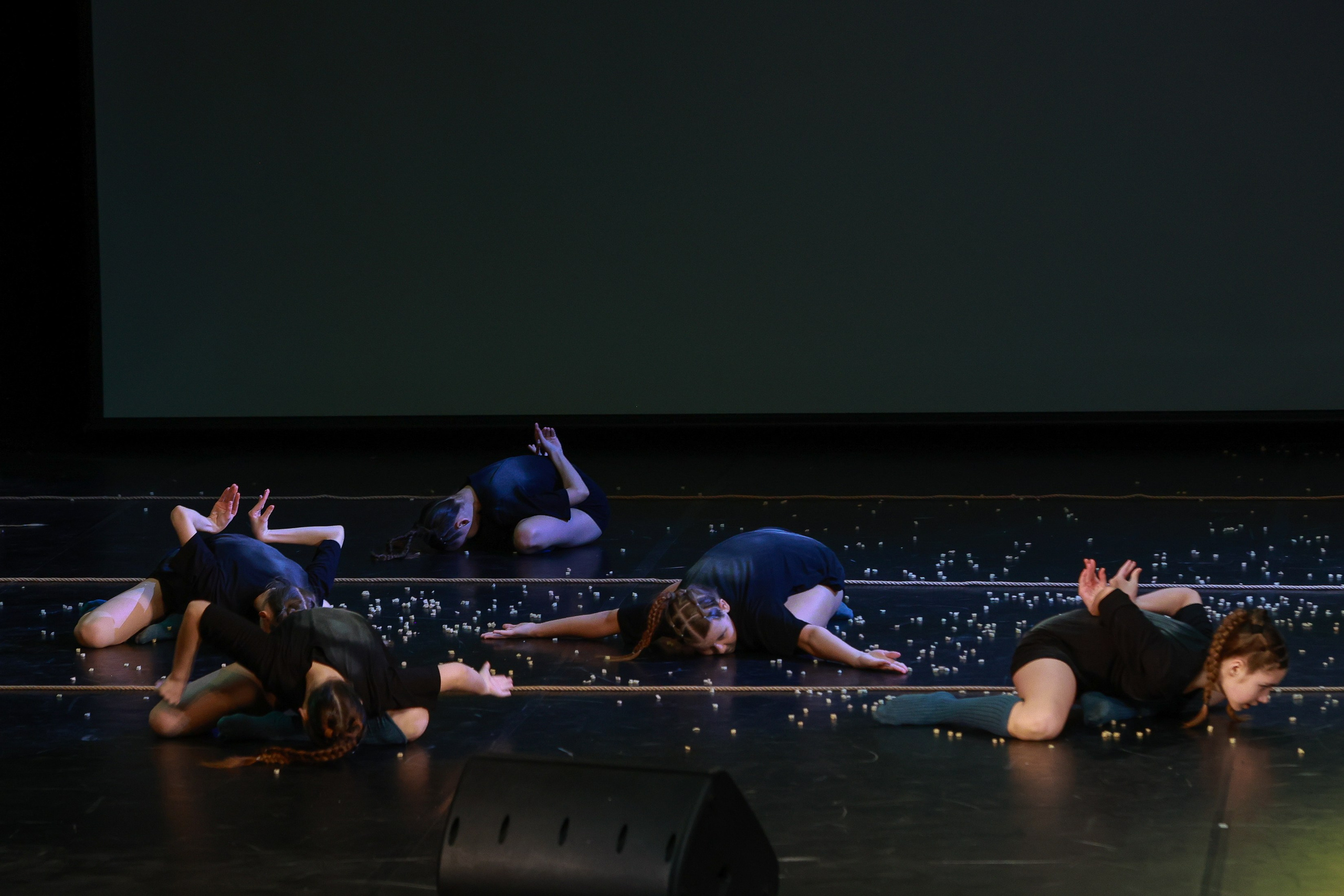 Небесные ласточки на Танц ЭКСПО 2026. Фотограф Юлия Мальцева