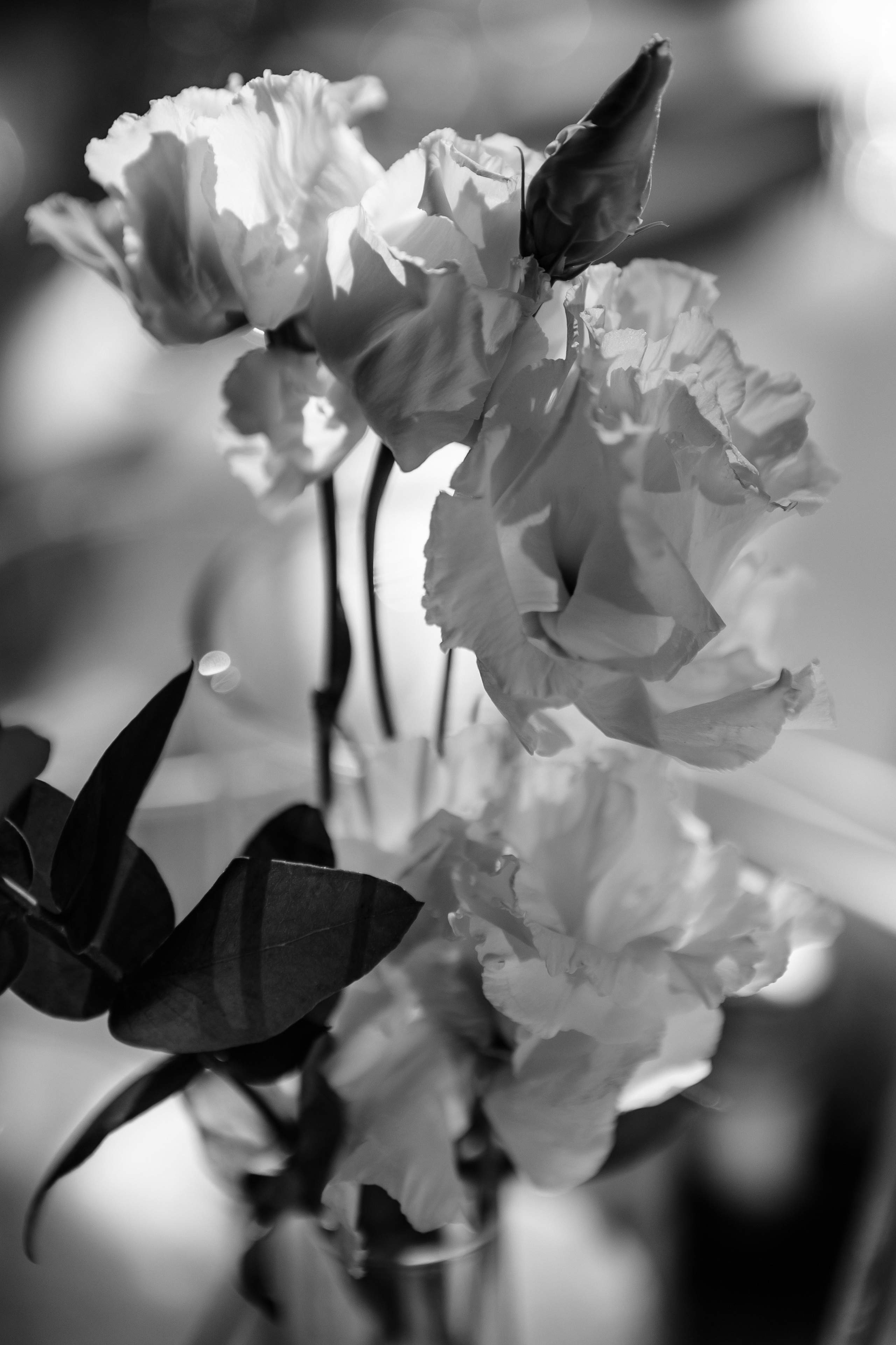 Борис и Алина. Свадебный фотограф Ксения Трухина в Нижнем Новгороде и Москве