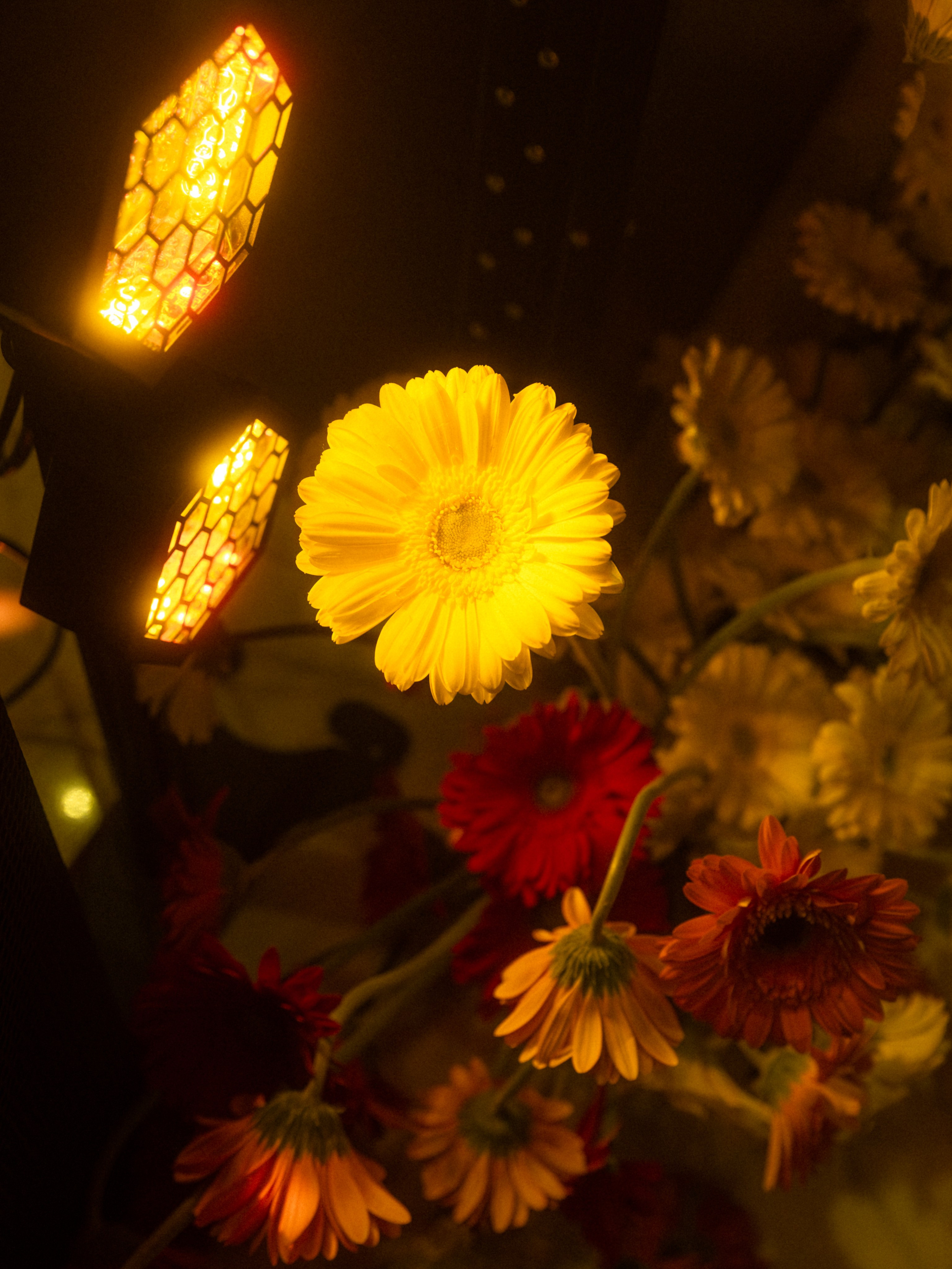 Карина и Коля. Фотограф в Москве Екатерина Черненко