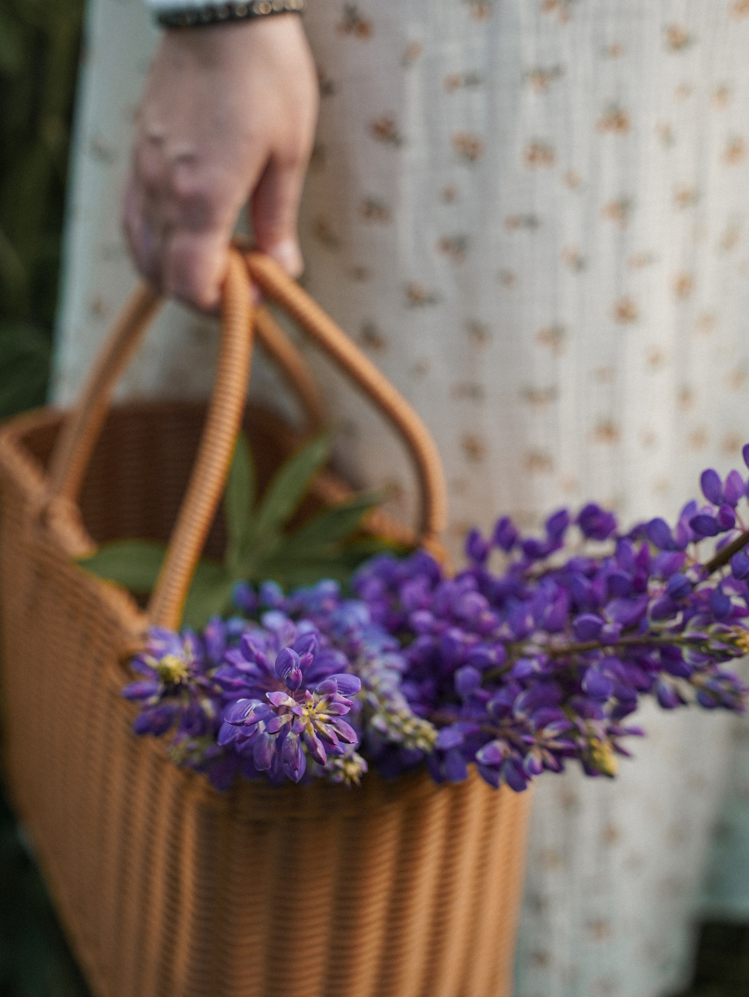 Дорога в лето. Александра Верминская | Винтажный фотограф Санкт-Петербург