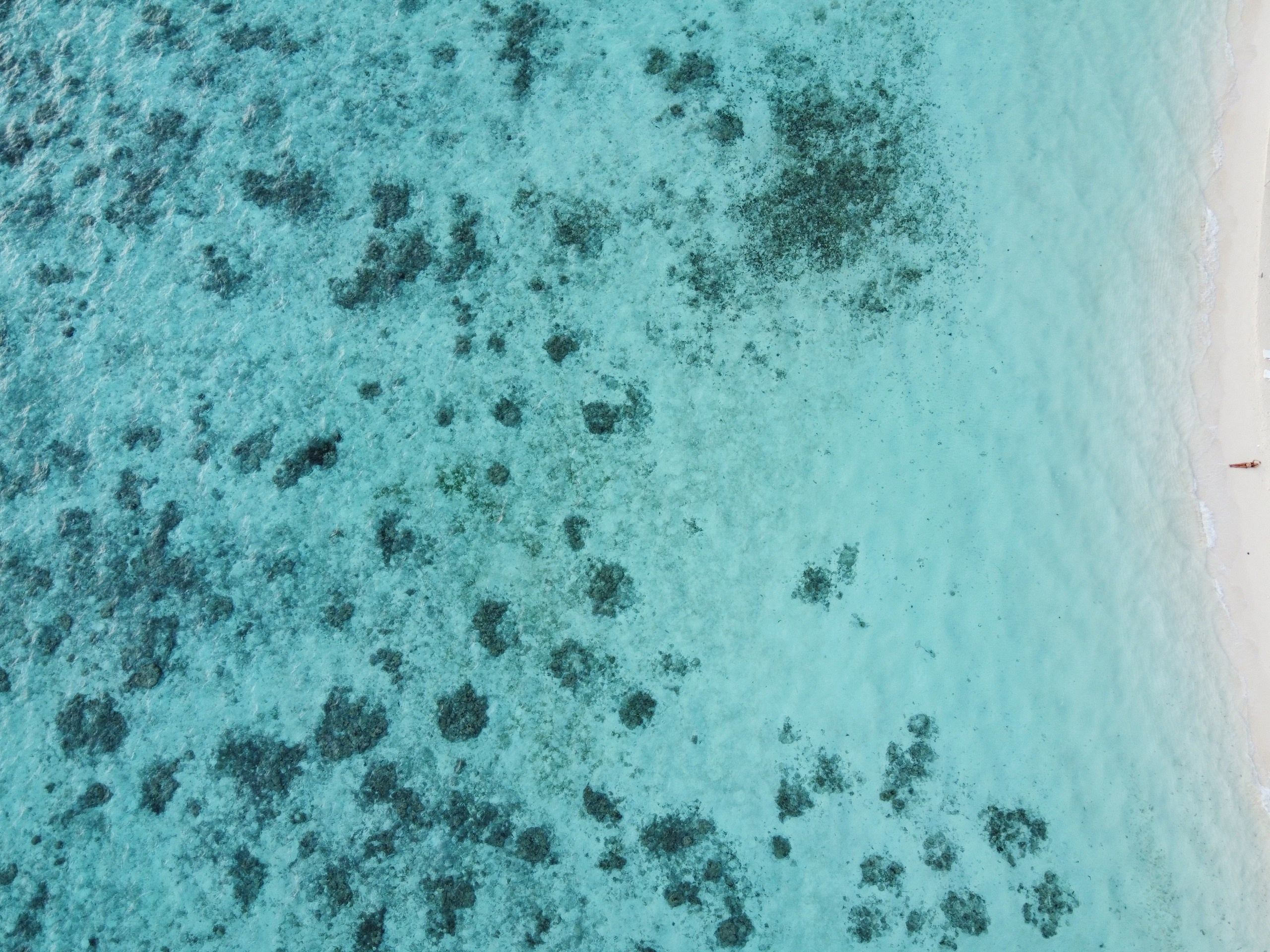 Пейзажи. Фотограф Мельник Ирина. Москва