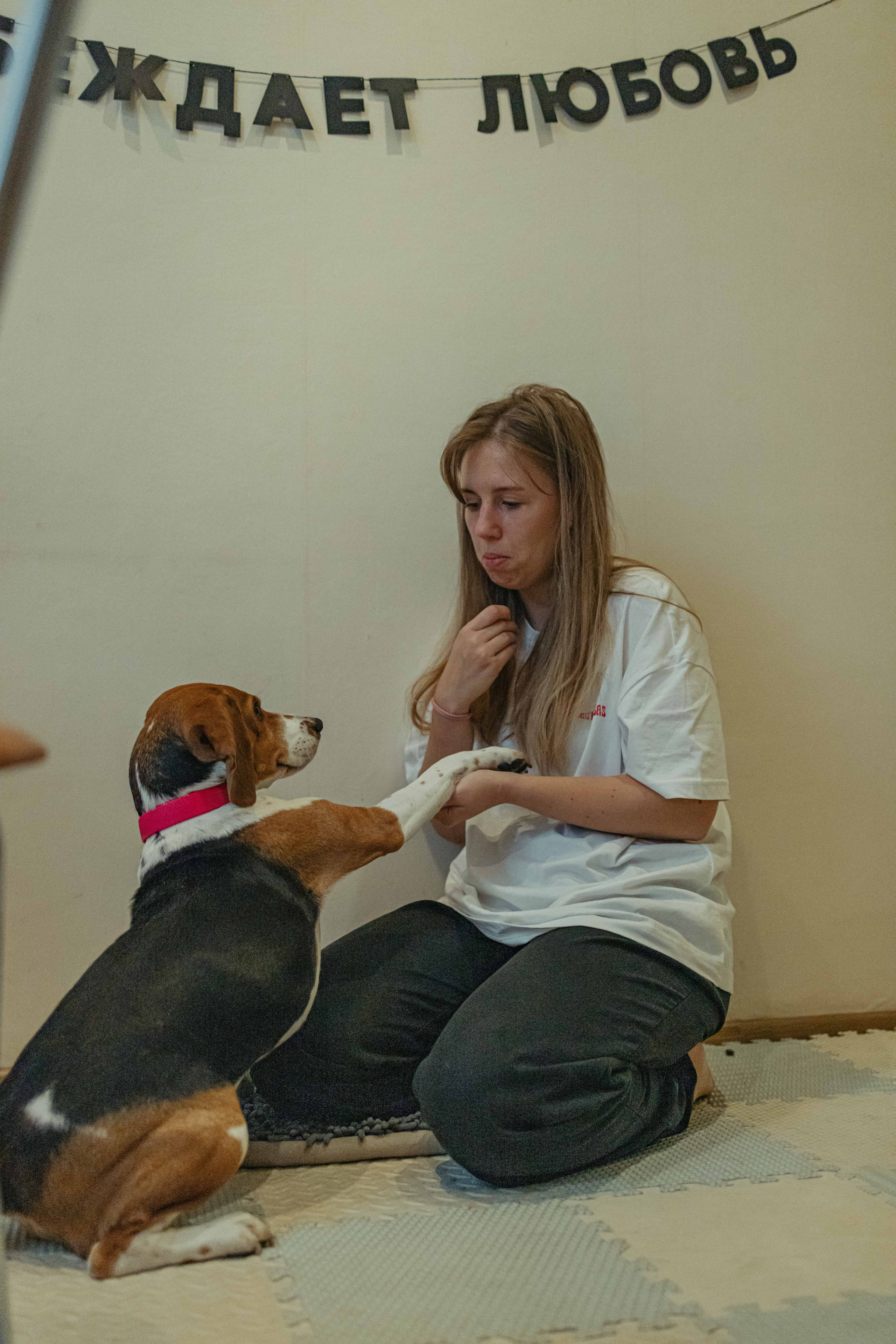 Света и Ива. Фотограф-анималист в Москве Лера Черноног