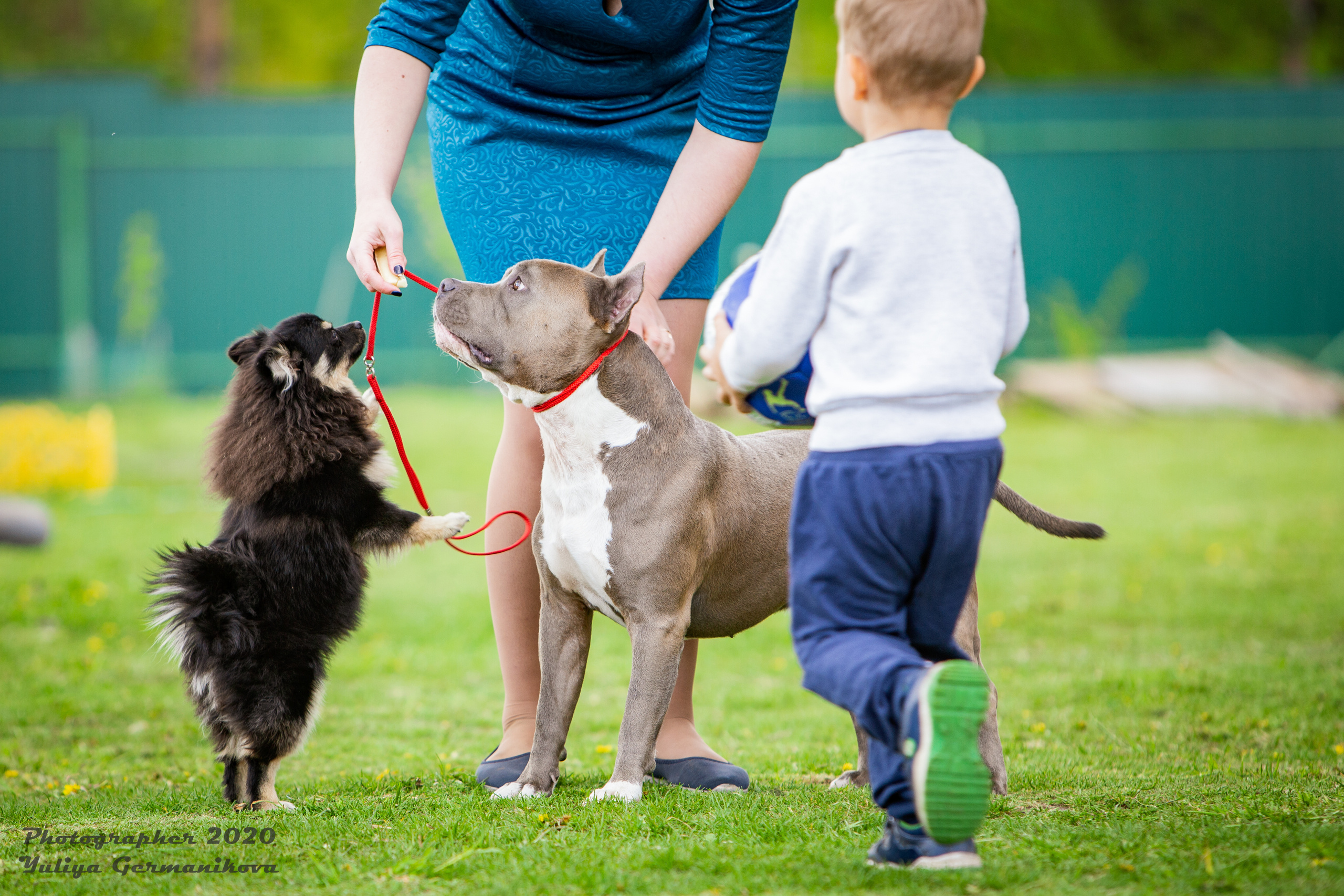 Свободная съемка. Фотограф-анималист Юлия Германика
