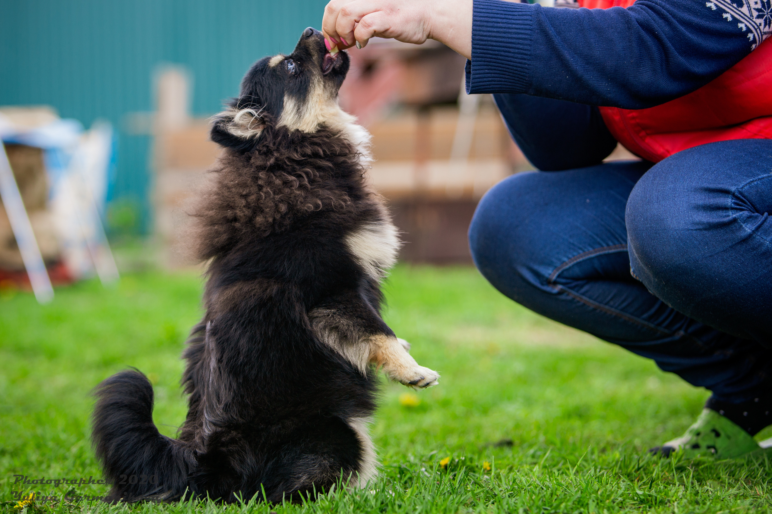 Свободная съемка. Фотограф-анималист Юлия Германика