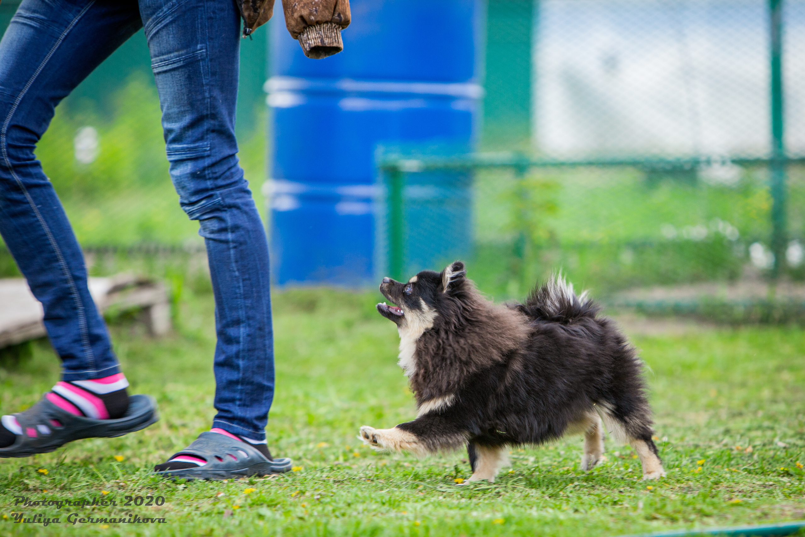 Свободная съемка. Фотограф-анималист Юлия Германика