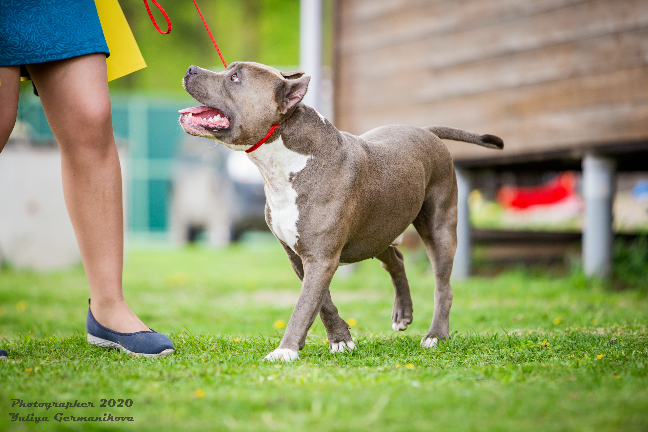 Свободная съемка. Фотограф-анималист Юлия Германика