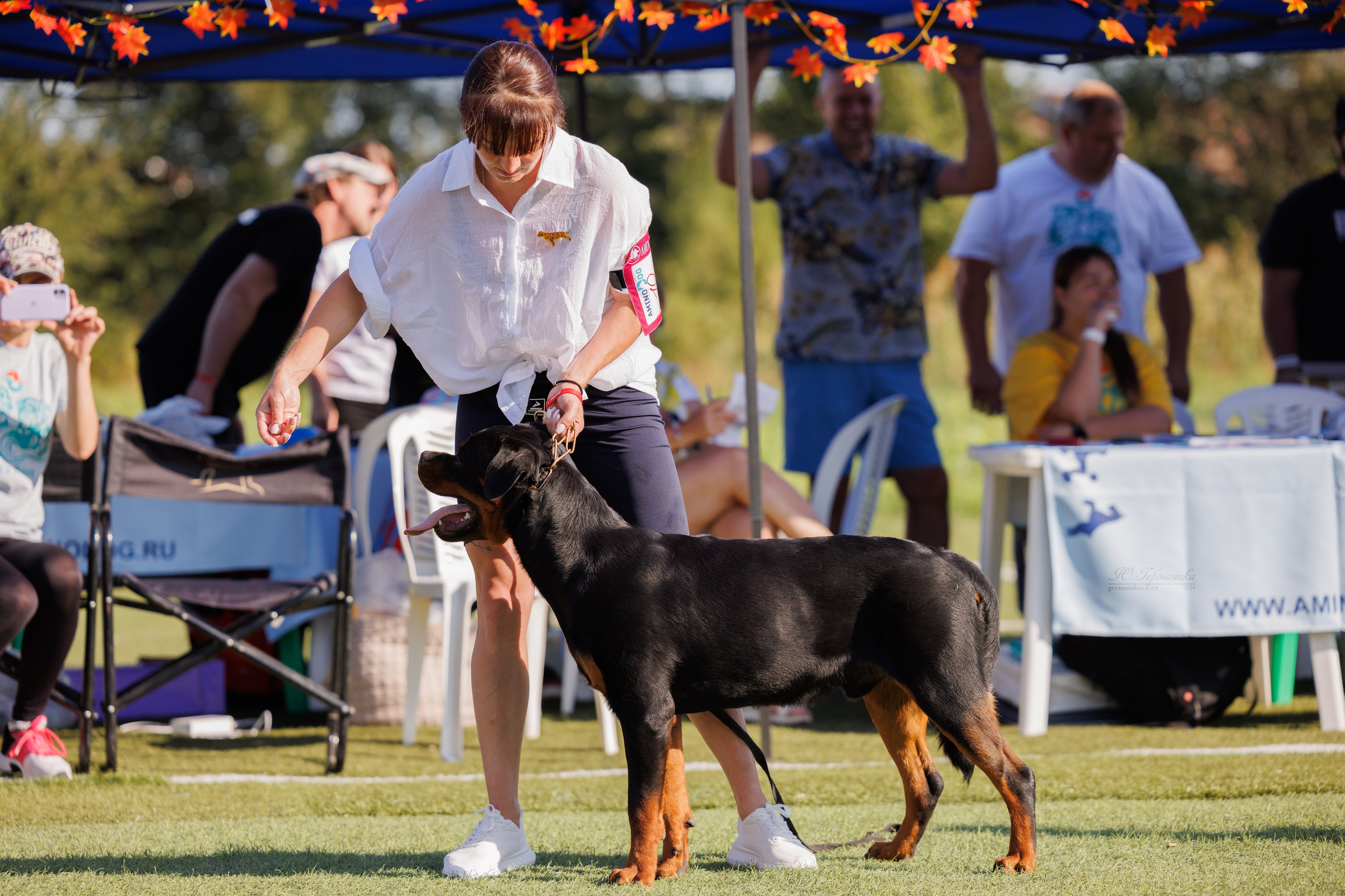 Анапа ротвейлеры 14-15.09.2024. Фотограф-анималист Юлия Германика