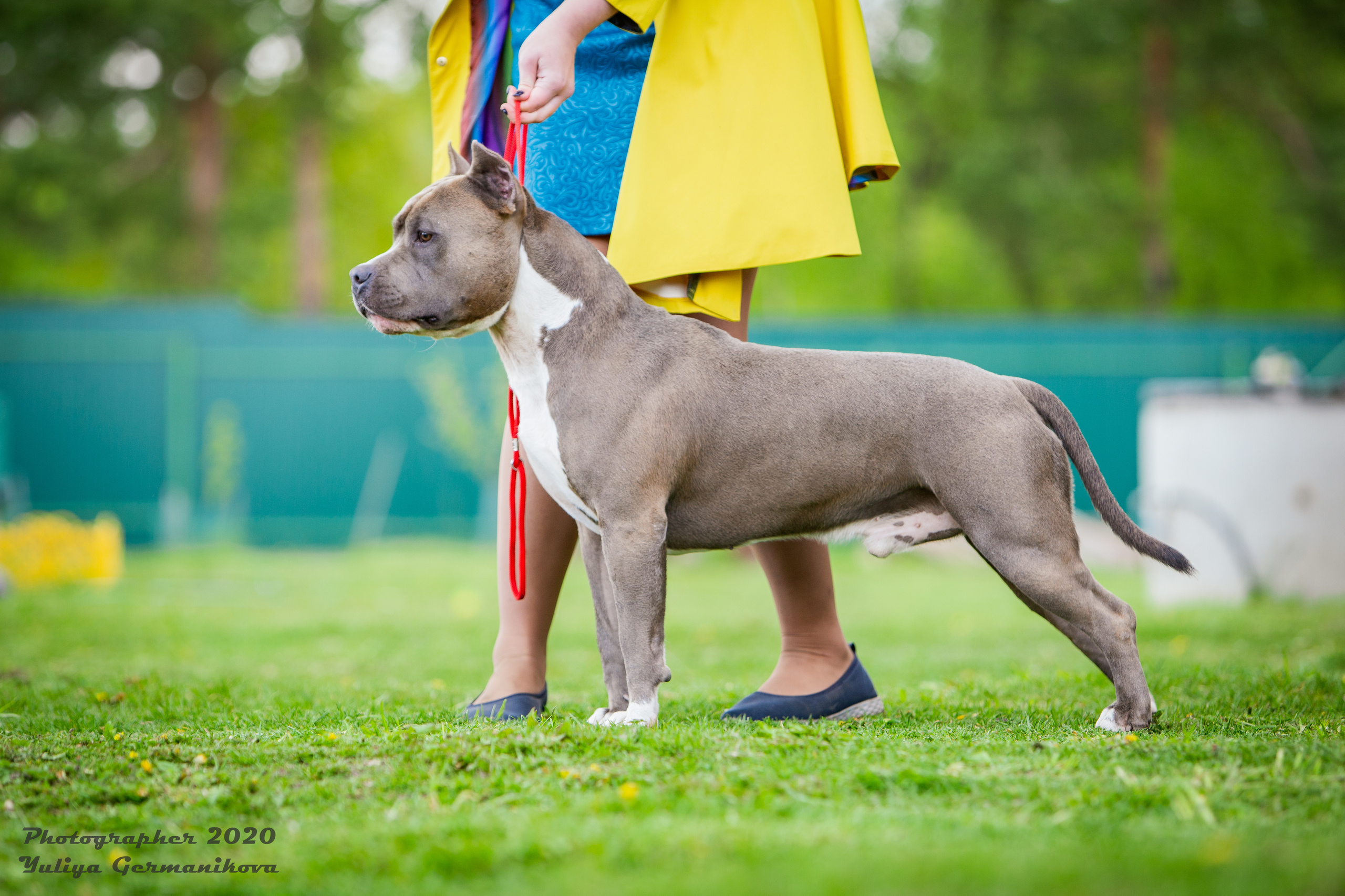 Свободная съемка. Фотограф-анималист Юлия Германика