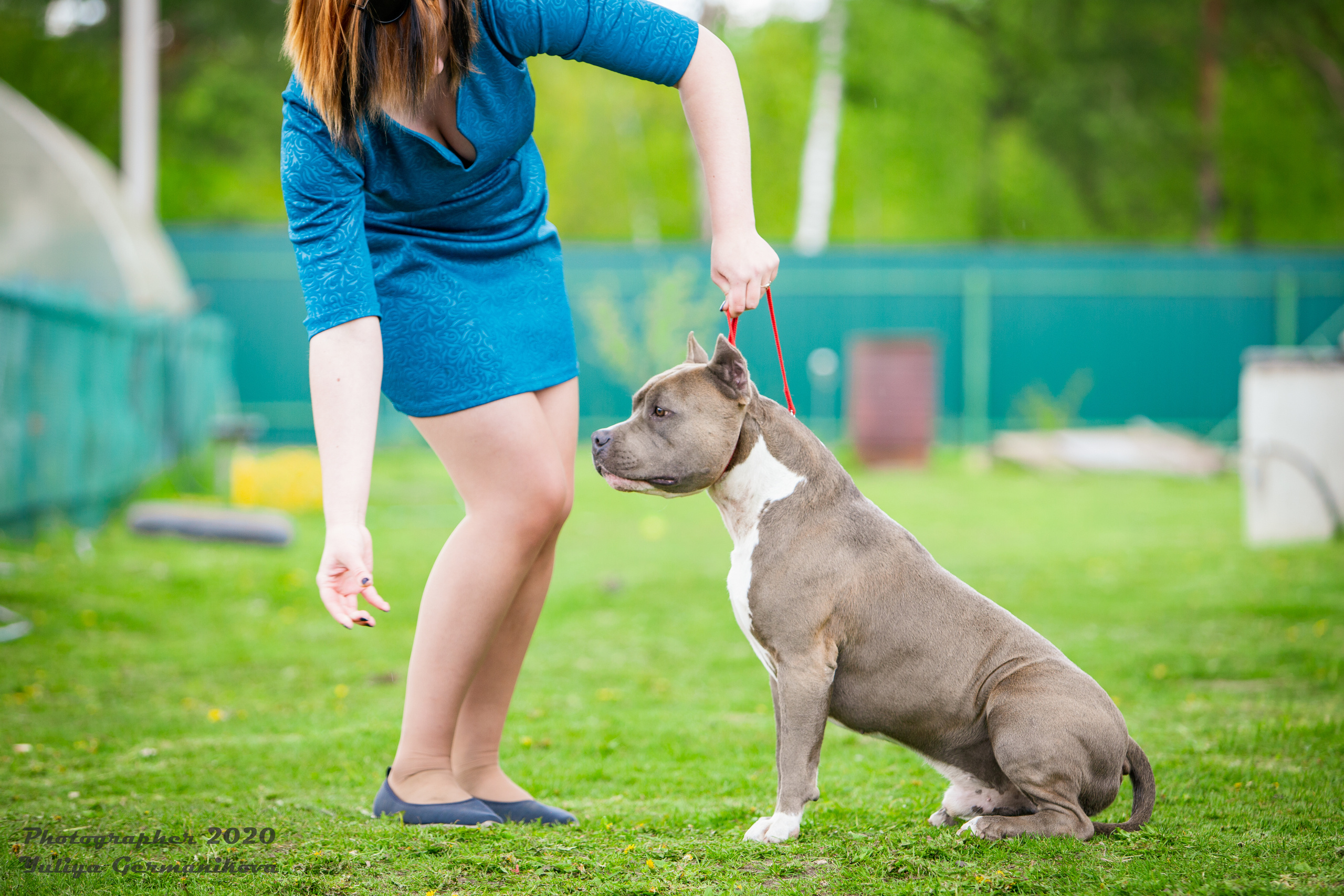 Свободная съемка. Фотограф-анималист Юлия Германика