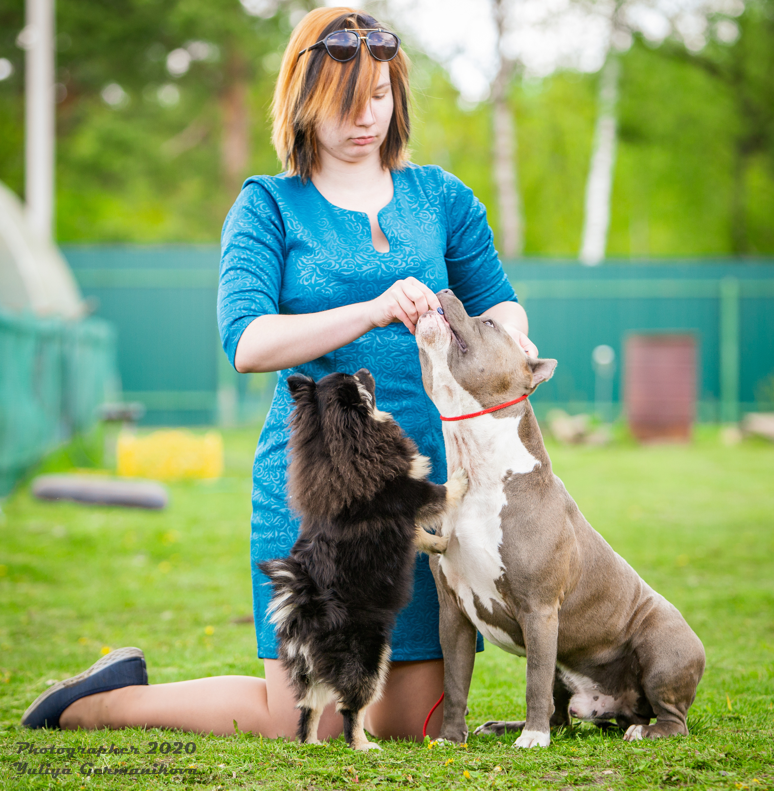 Свободная съемка. Фотограф-анималист Юлия Германика