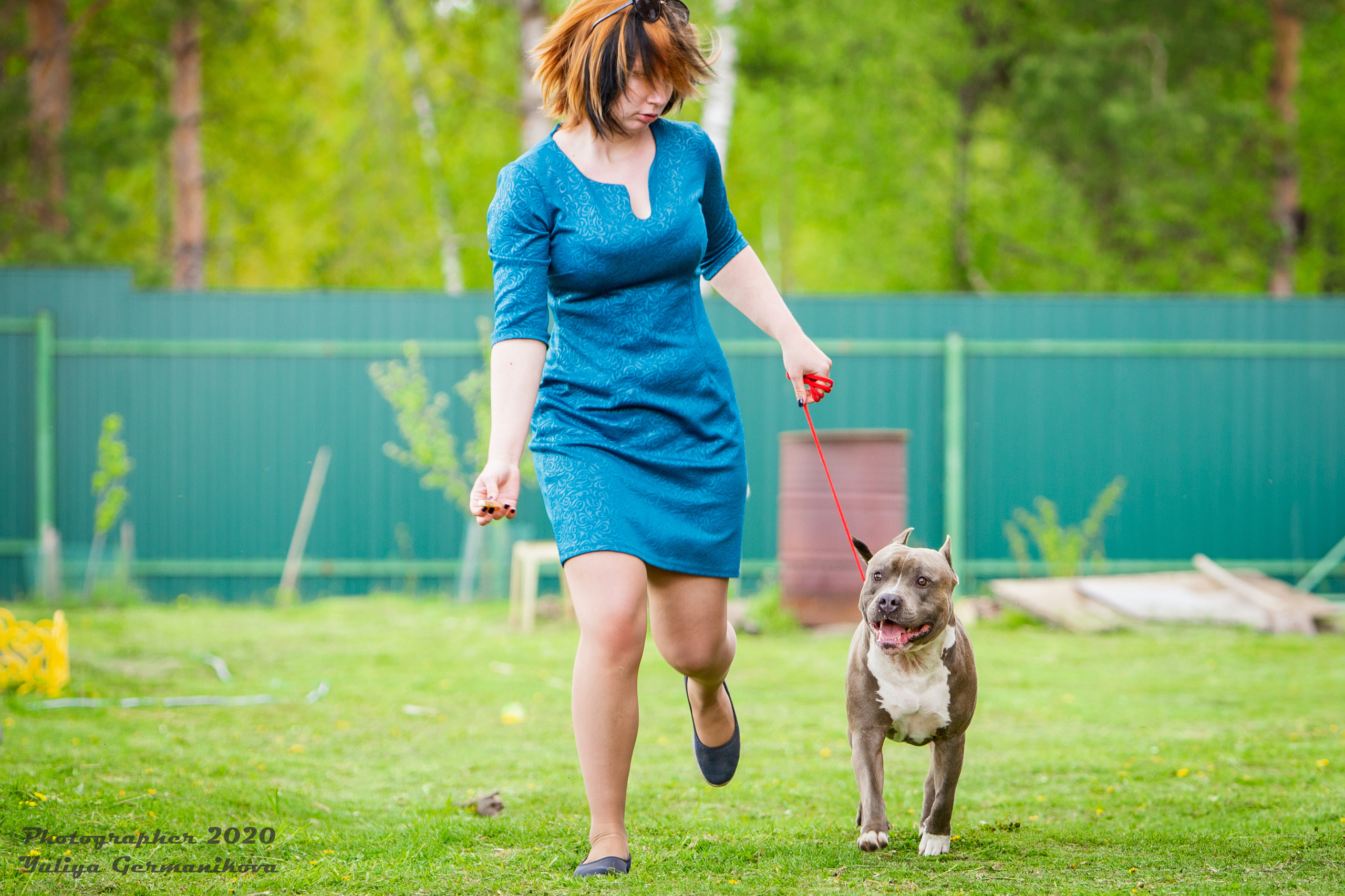 Свободная съемка. Фотограф-анималист Юлия Германика