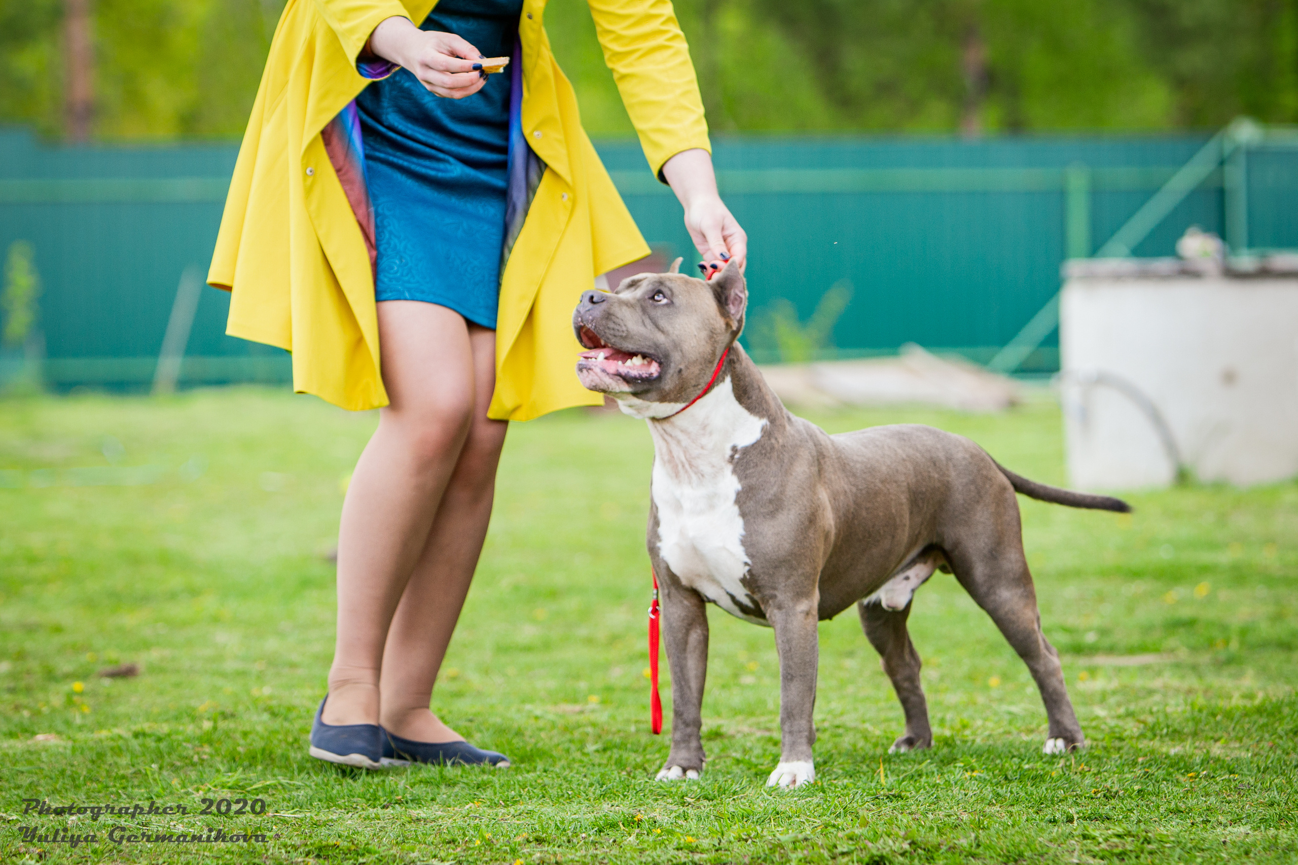 Свободная съемка. Фотограф-анималист Юлия Германика