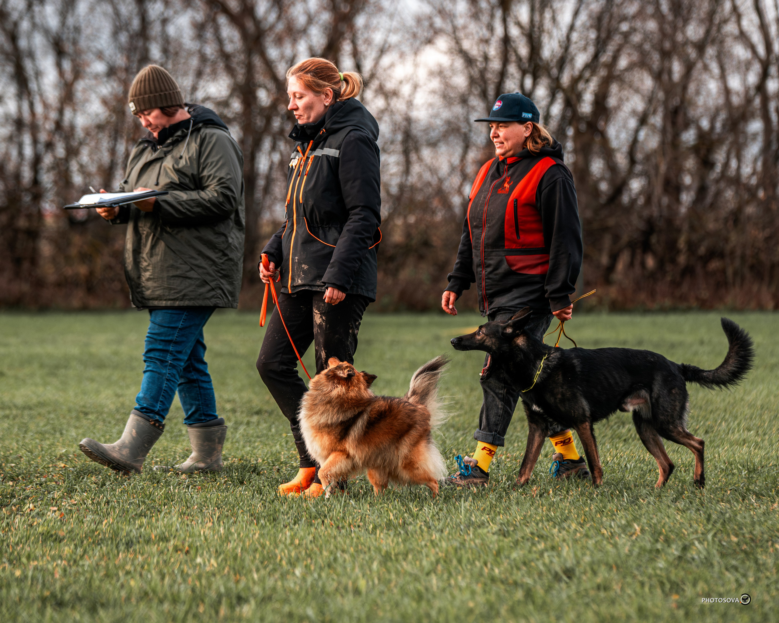 МЫ — КОМАНДА (соревнования) OKD, BH, IBGH, IGP. Фотограф-анималист, семейный фотограф в Москве и Подмосковье. Фотосъёмка кинологических дисциплин