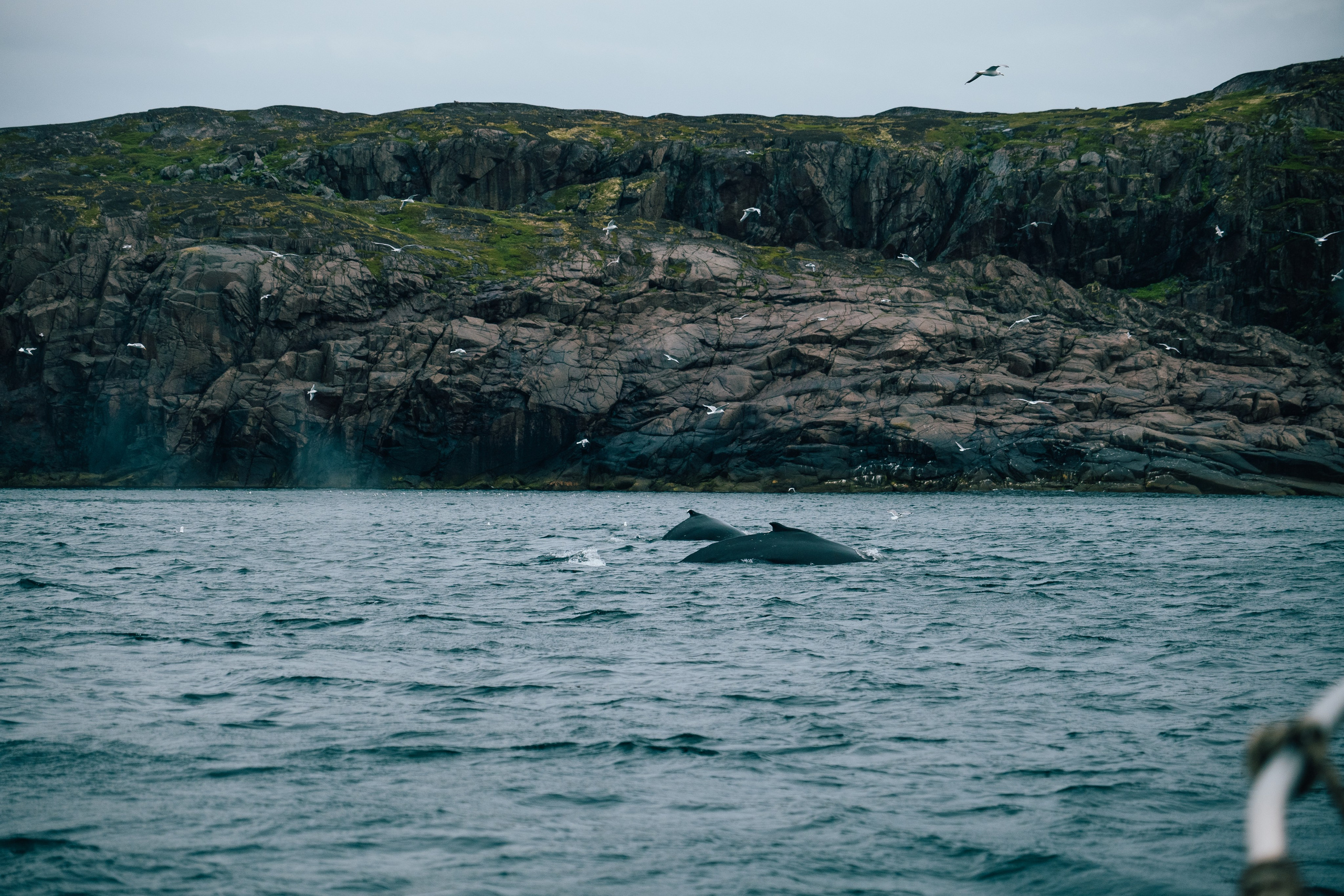 ТЕРИБЕРКА. Создание контента | Фото | Видеосъемка | Александр Ярков