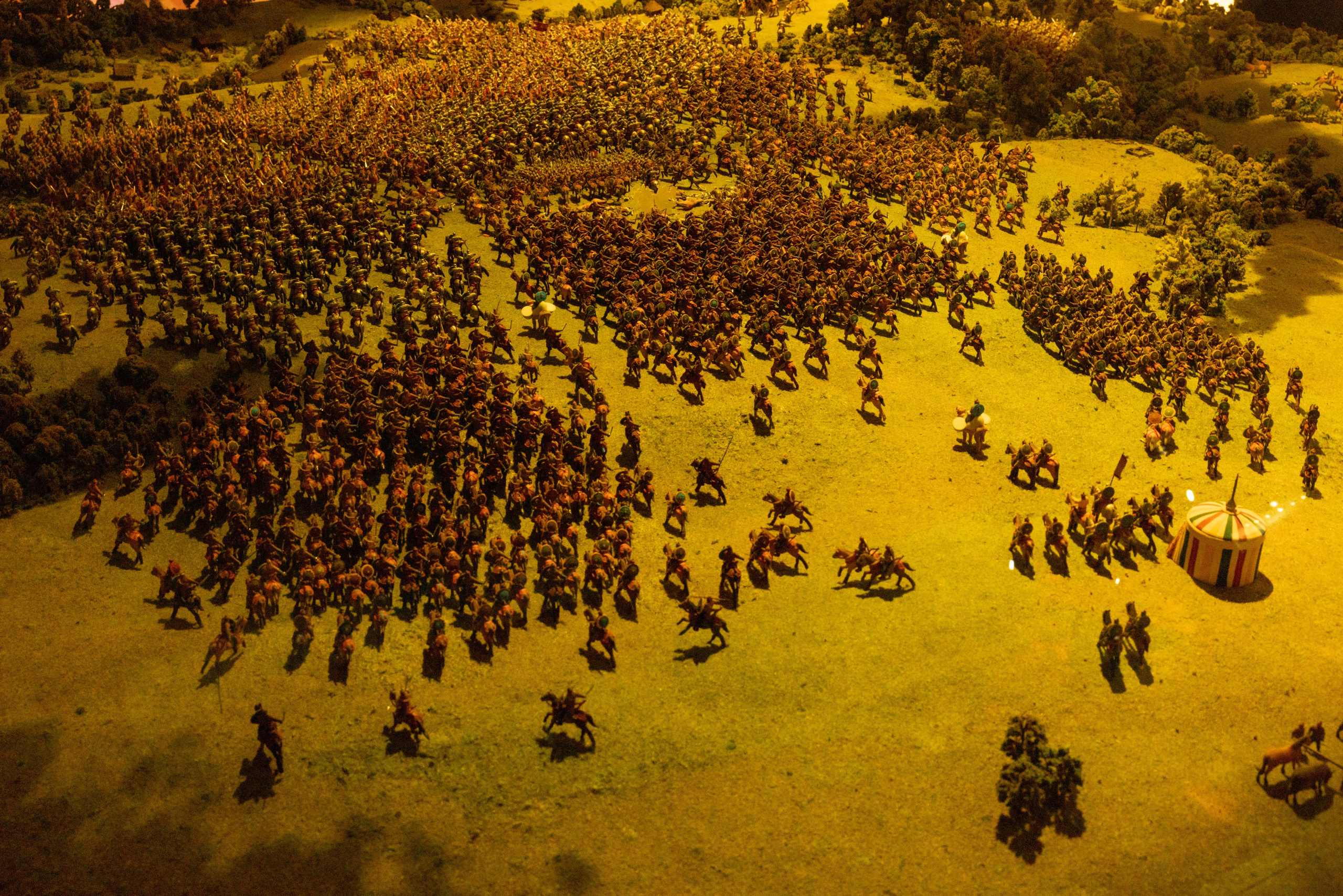 Поездка на поле Кулеково. Фотограф в Туле Крупский АнДРей. Фотостудия «КАДР71» в Туле