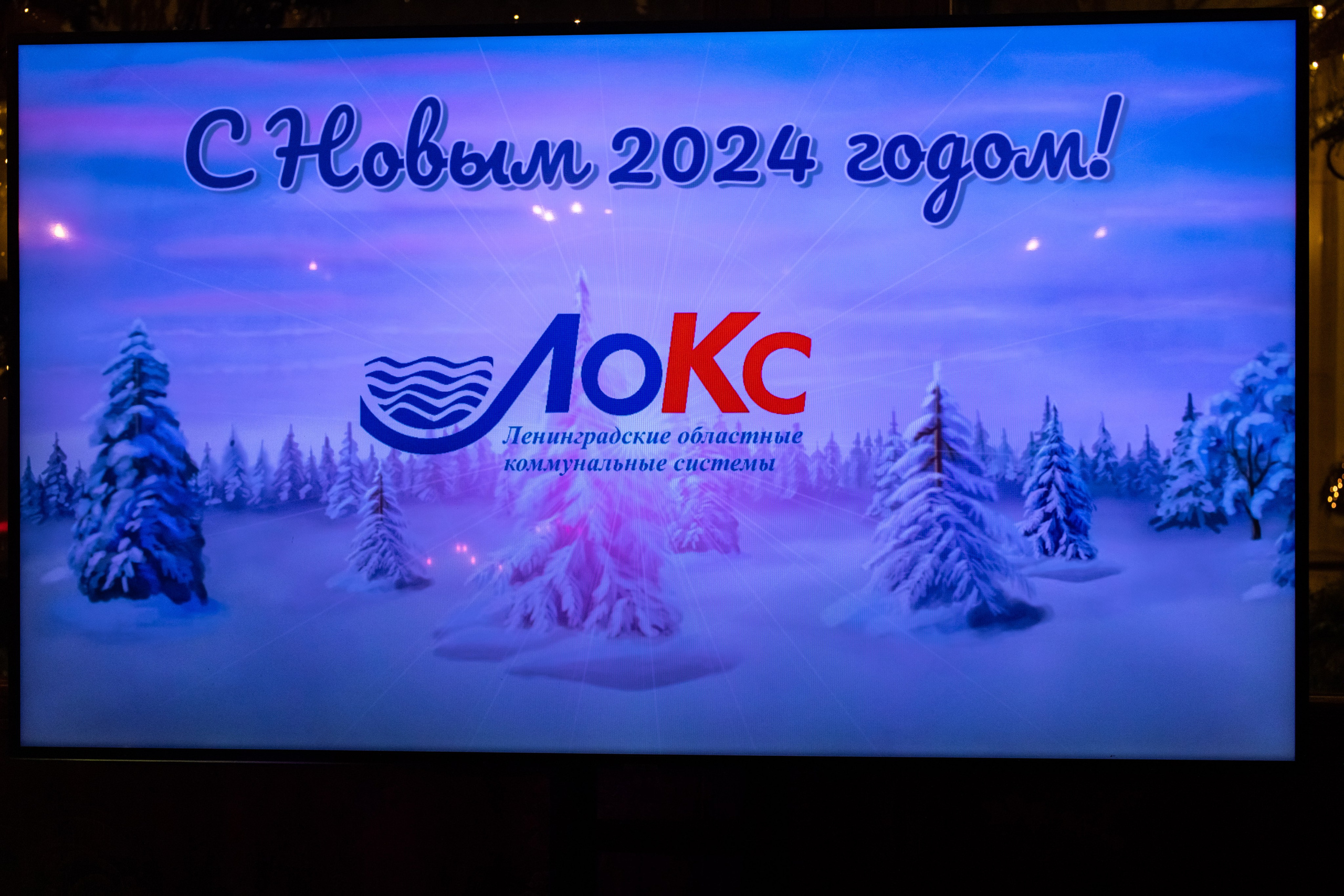 ЛоКс — Новый год. Двойняшки-фотографы Анна и Анастасия в Санкт-Петербурге