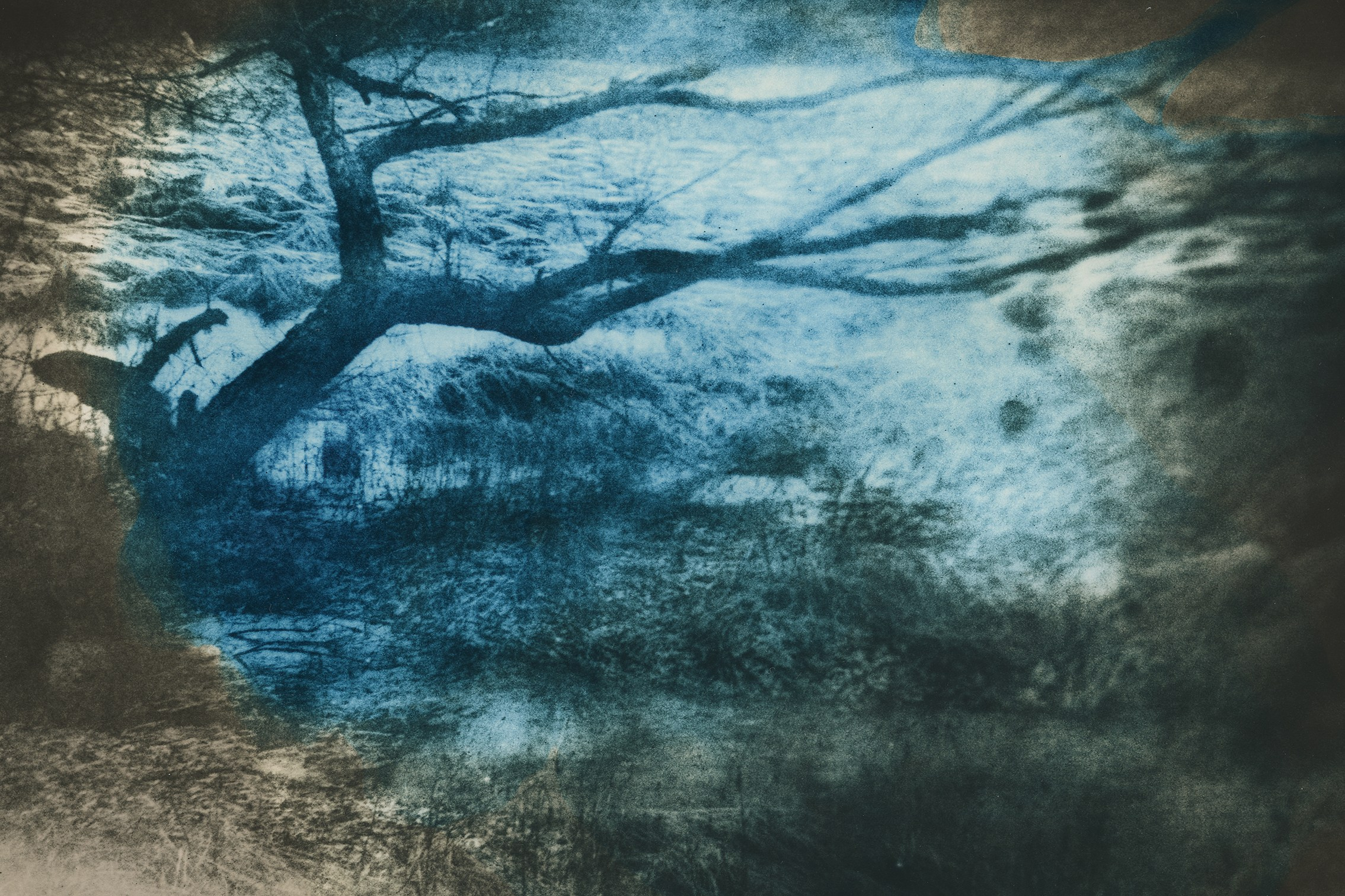 Dmitry Gudimenko | Analog visual artist