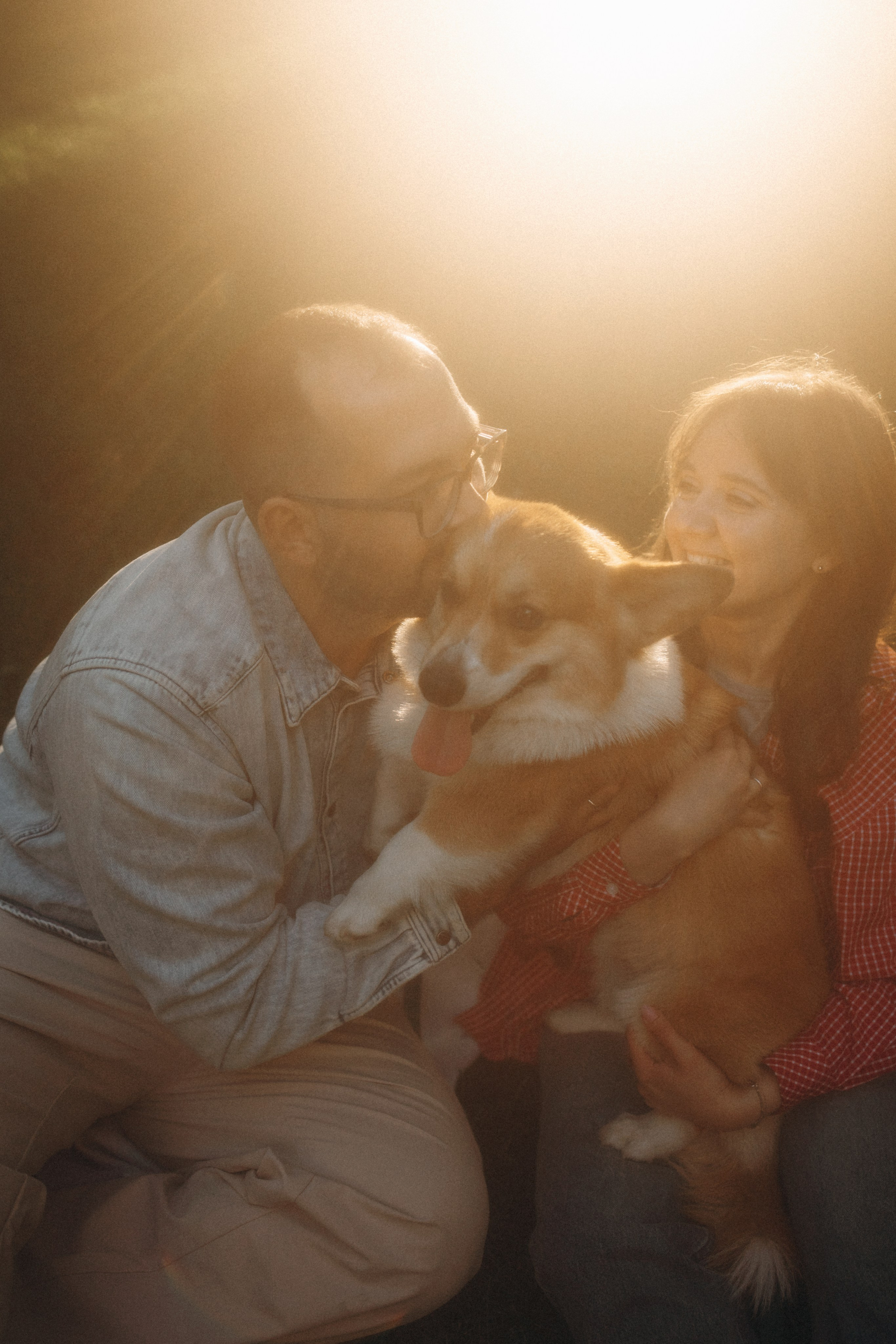 Момо, Люда и Эд. Фотограф анималист Анастасия Пикей