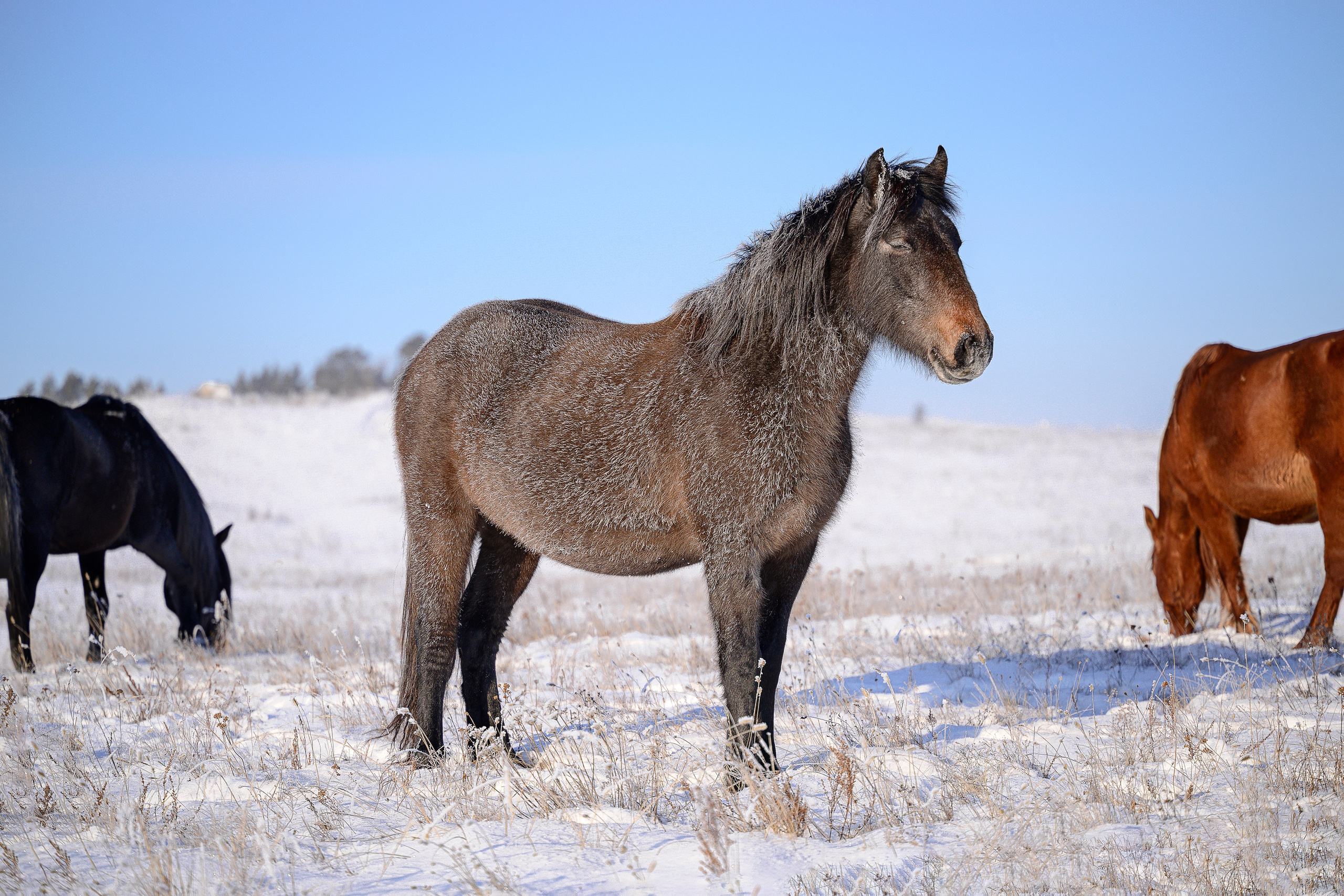 Байкал. Портретный фотограф в Челябинске Катерина Руди