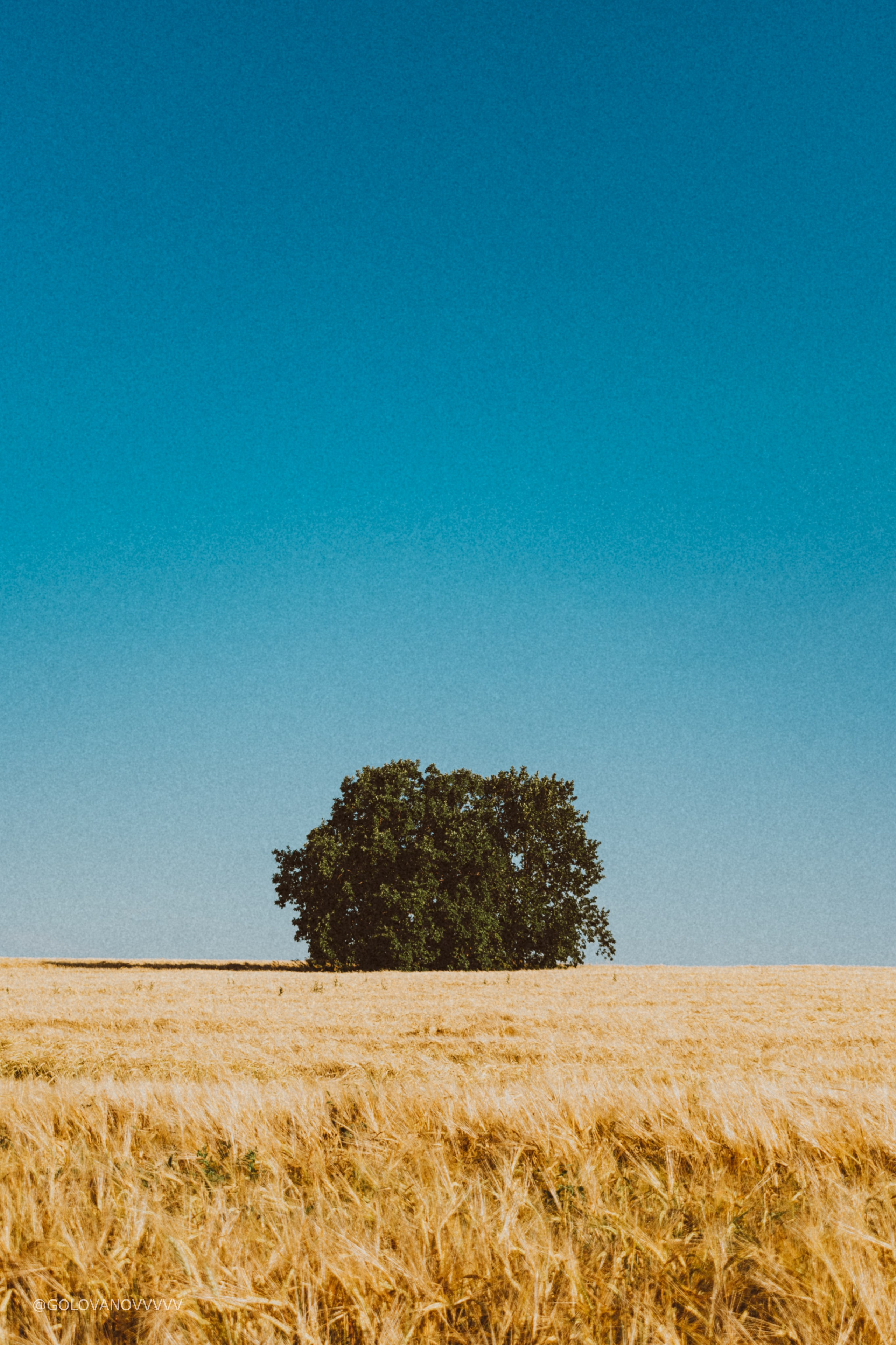 Фотограф/видеограф Богдан Голованов