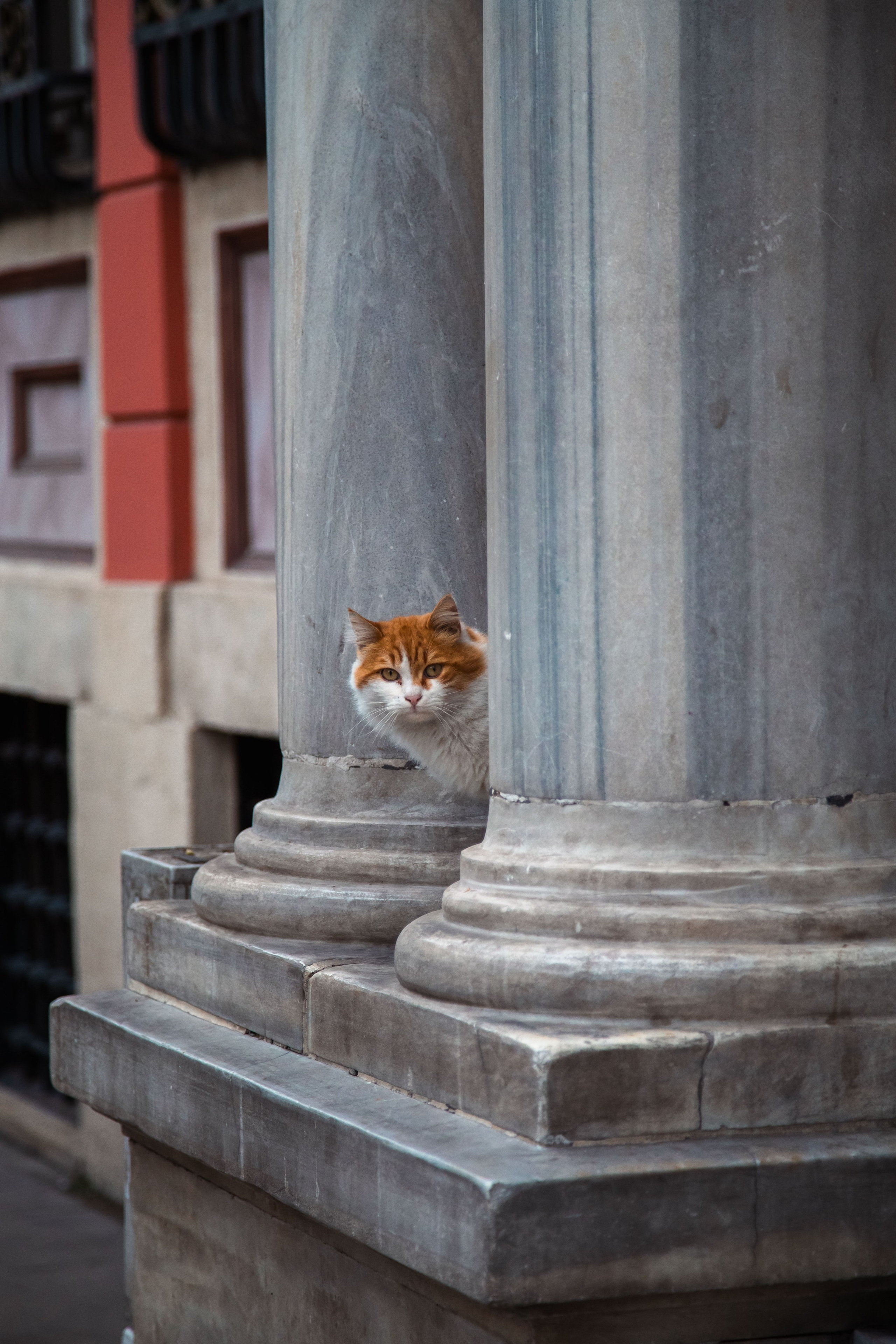 Istanbul. Dmitriy [KCCC] is a pretty cool photographer