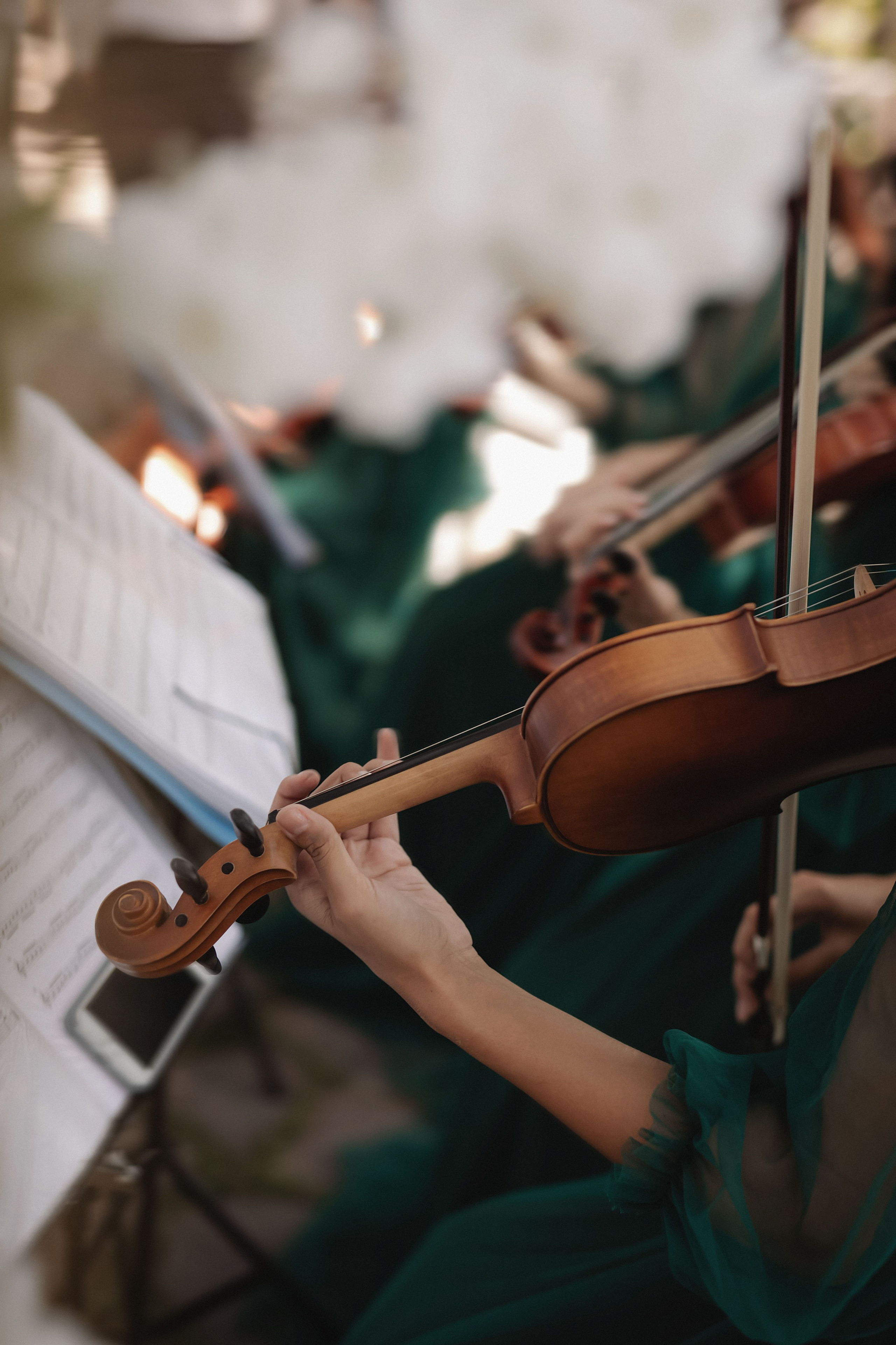 Eric & Karina's wedding day. Фотограф и ретушер. (Армения/Россия)