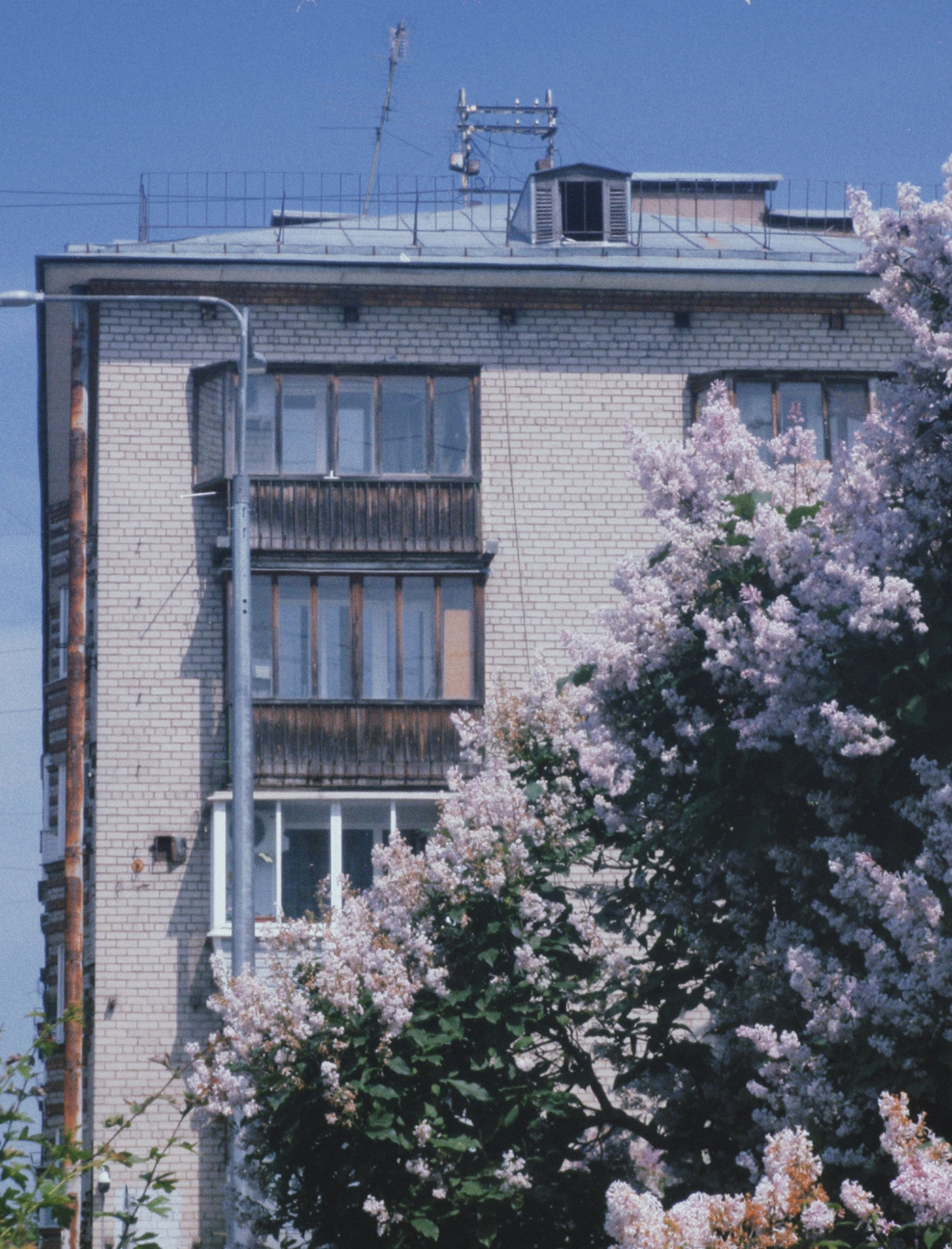 Olimpus mju 1030sw. Анна Мильч