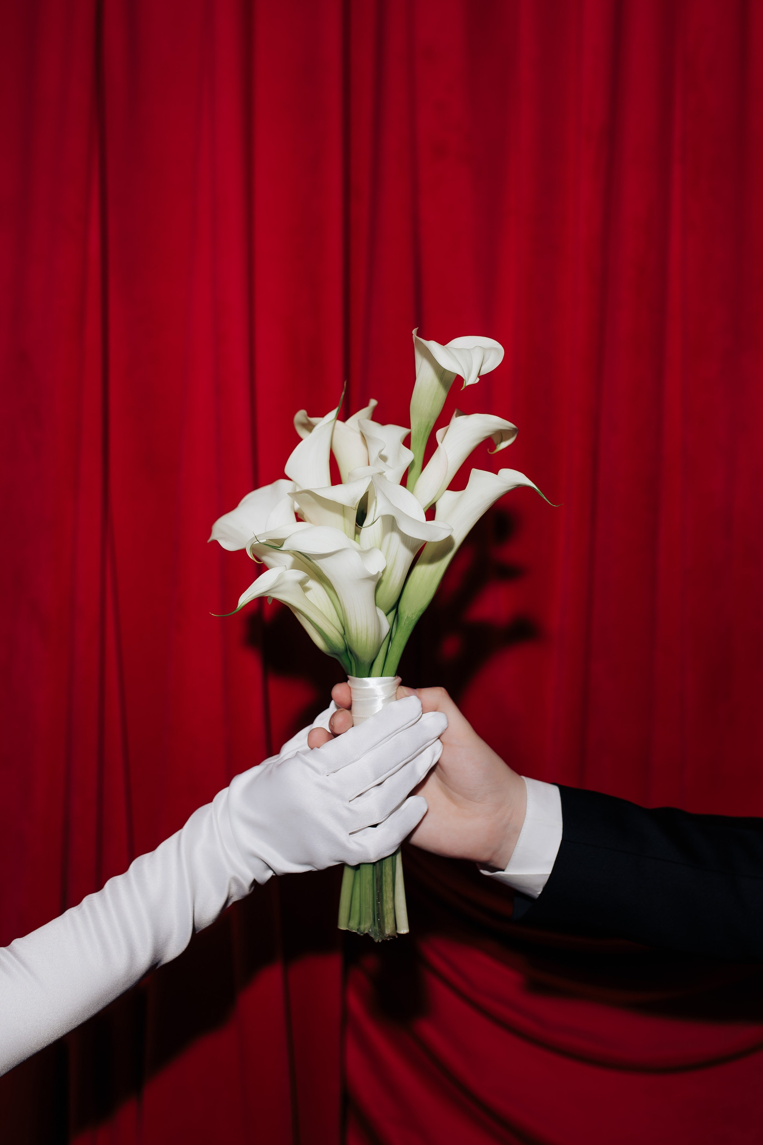 Гриша и Кристина. Свадебный фотограф Воронеж