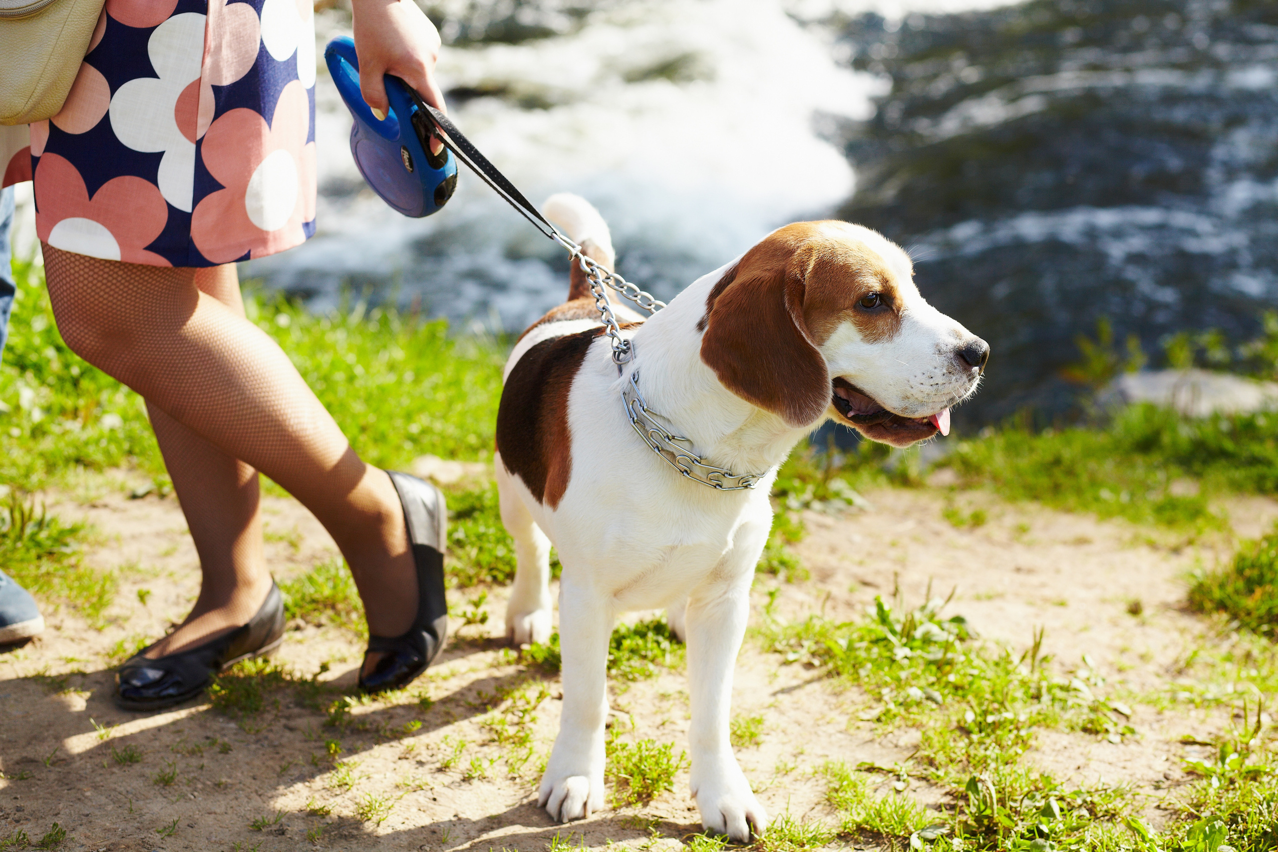 LOVE Story. Фотограф Алексей Славкин — Москва, Зеленоград, М.О