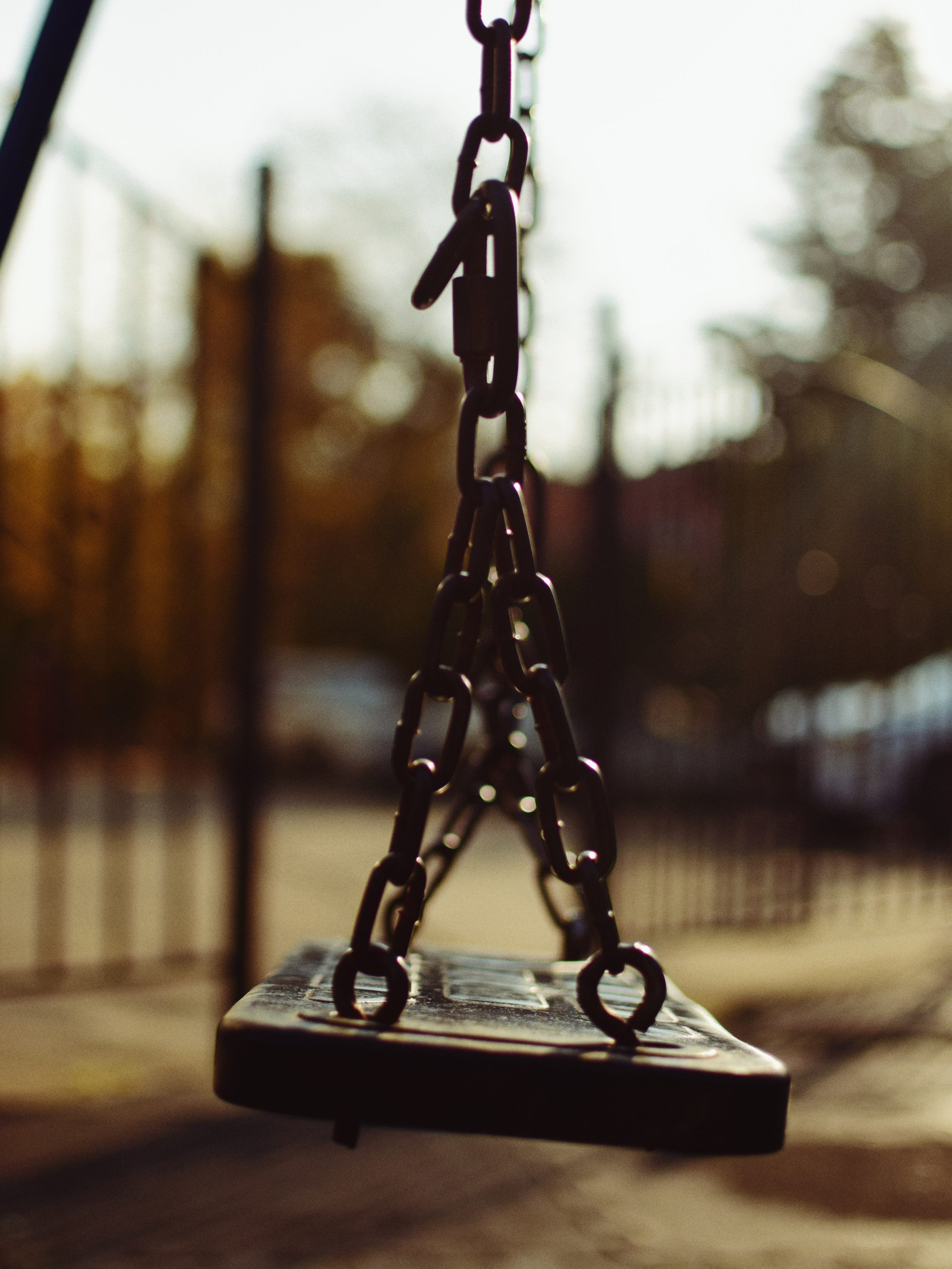 Мир вокруг. Фотограф • Елена Миронова