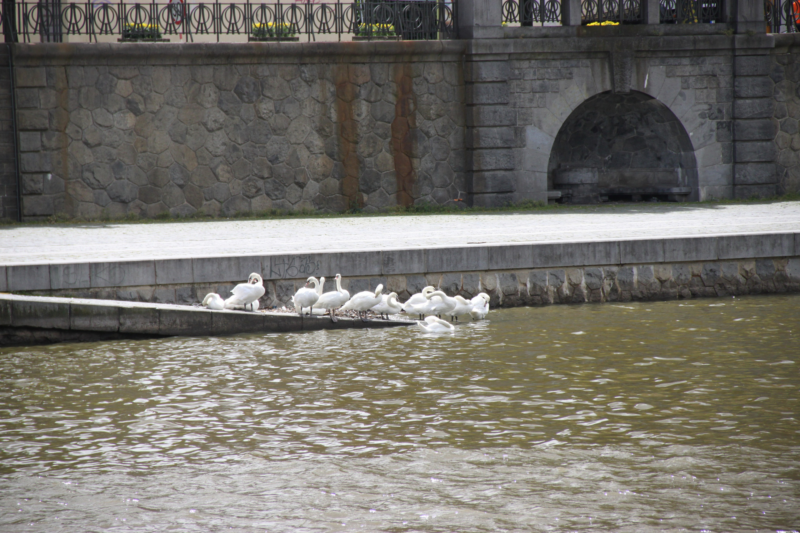 Prague, Czech Republic. Andrey Filippov Photographer