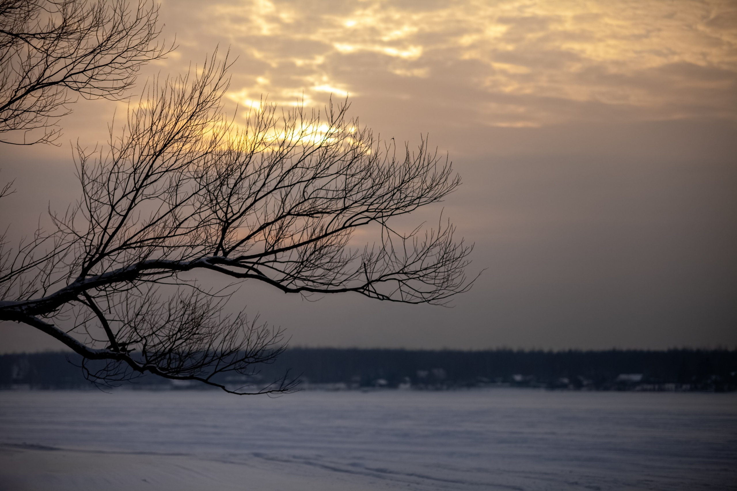 Выключить шум и услышать тишину, утихомирить свои мысли и приземлиться. В фокусе- человек и его состояние!. Туманов Виталий — фотограф Москва