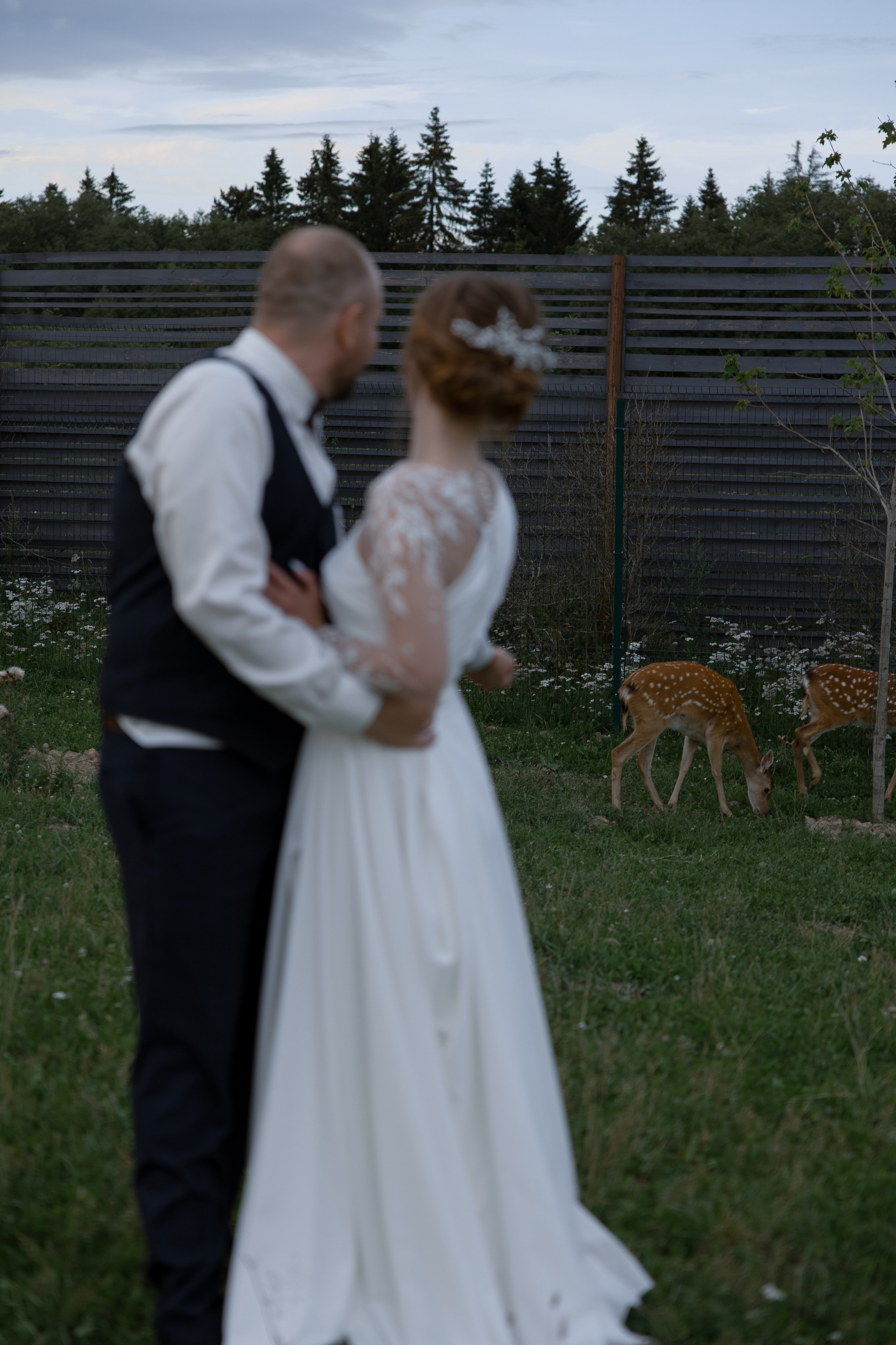 Илья и Кристина. Свадебный фотограф в Санкт — Петербурге и Ленинградской о