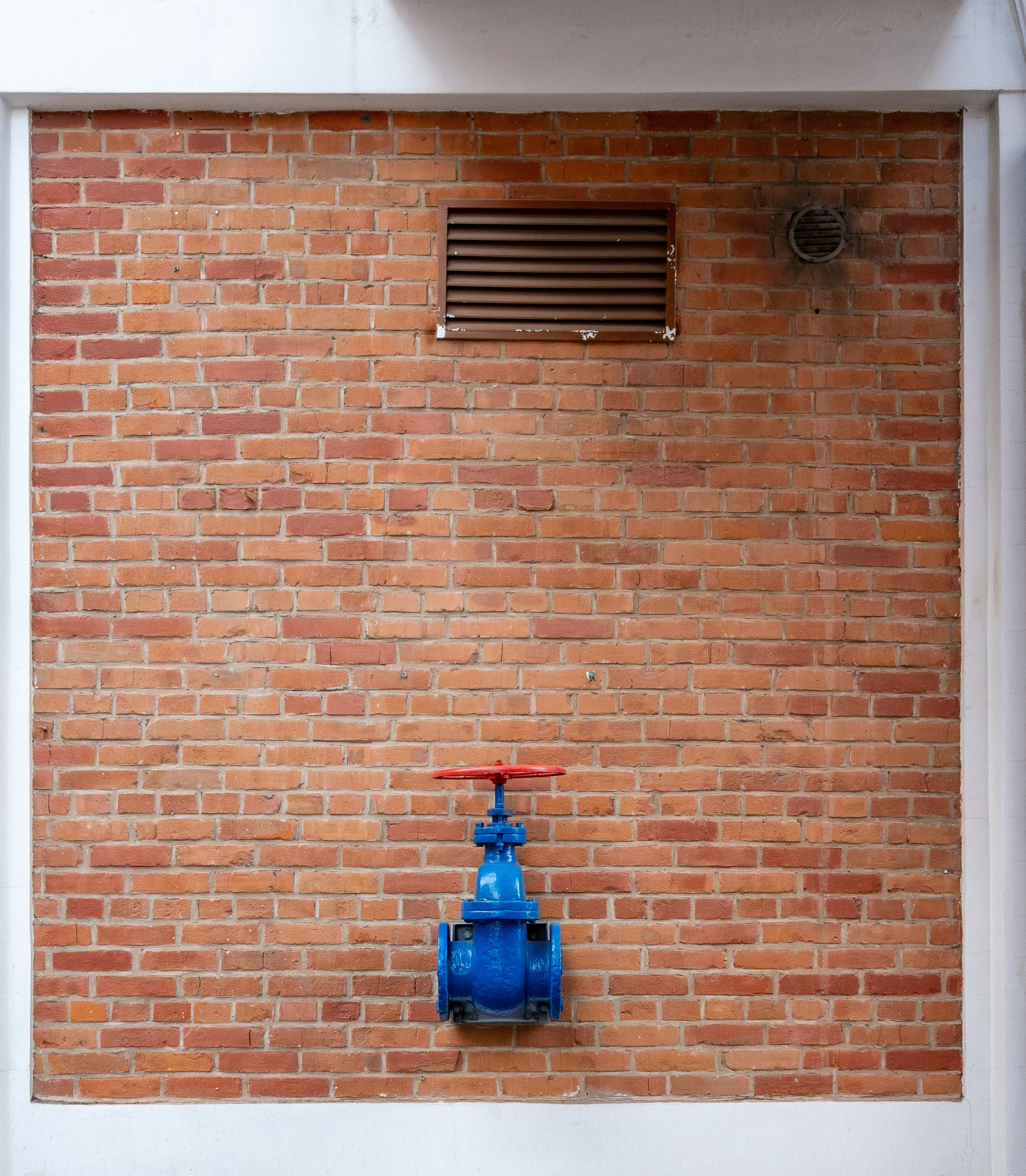 20240419 Хамовники. Дмитрий Ремизов. Фотография, как хобби