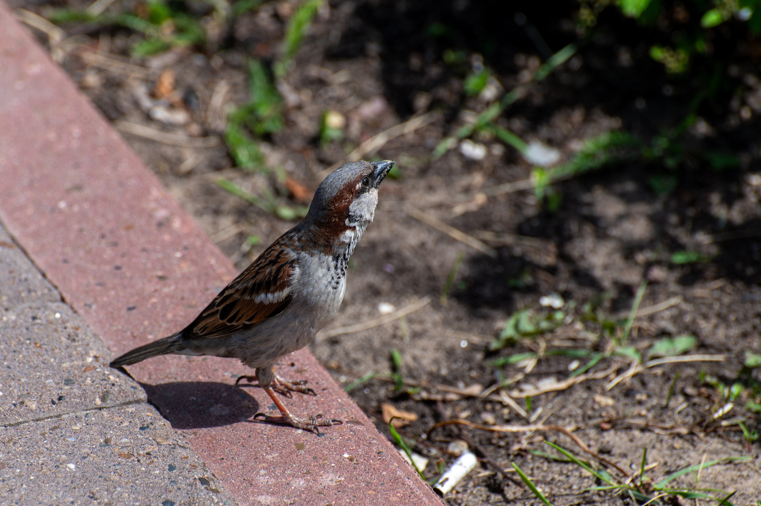 20230612-16 Нижний Новгород. Дмитрий Ремизов. Фотография, как хобби