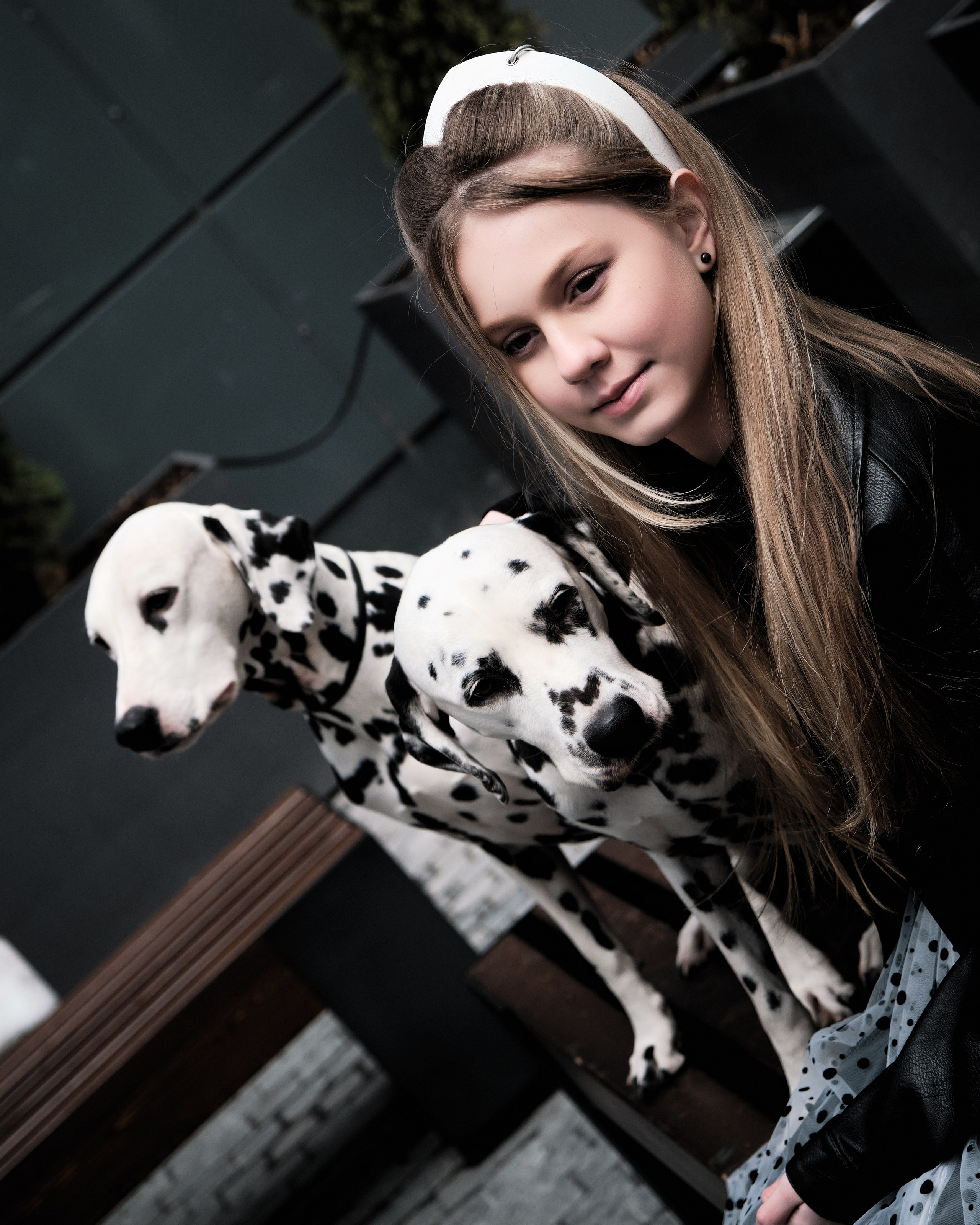 фото собак в Москве фотограф Виктория Колышева