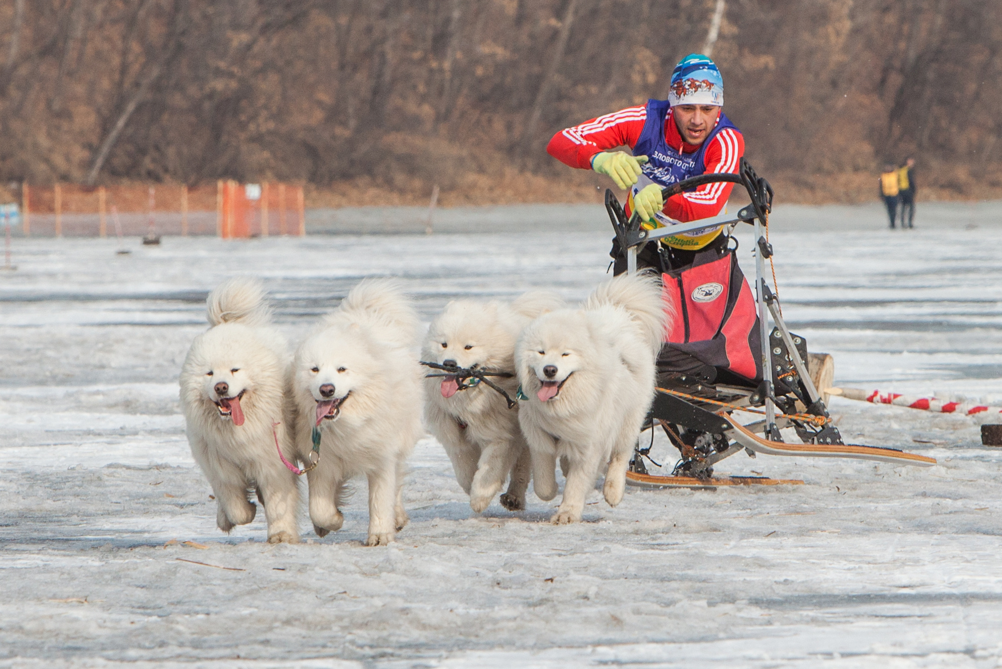 Спортивный репортаж. Фотограф во Владивостоке Осипчук Дмитрий