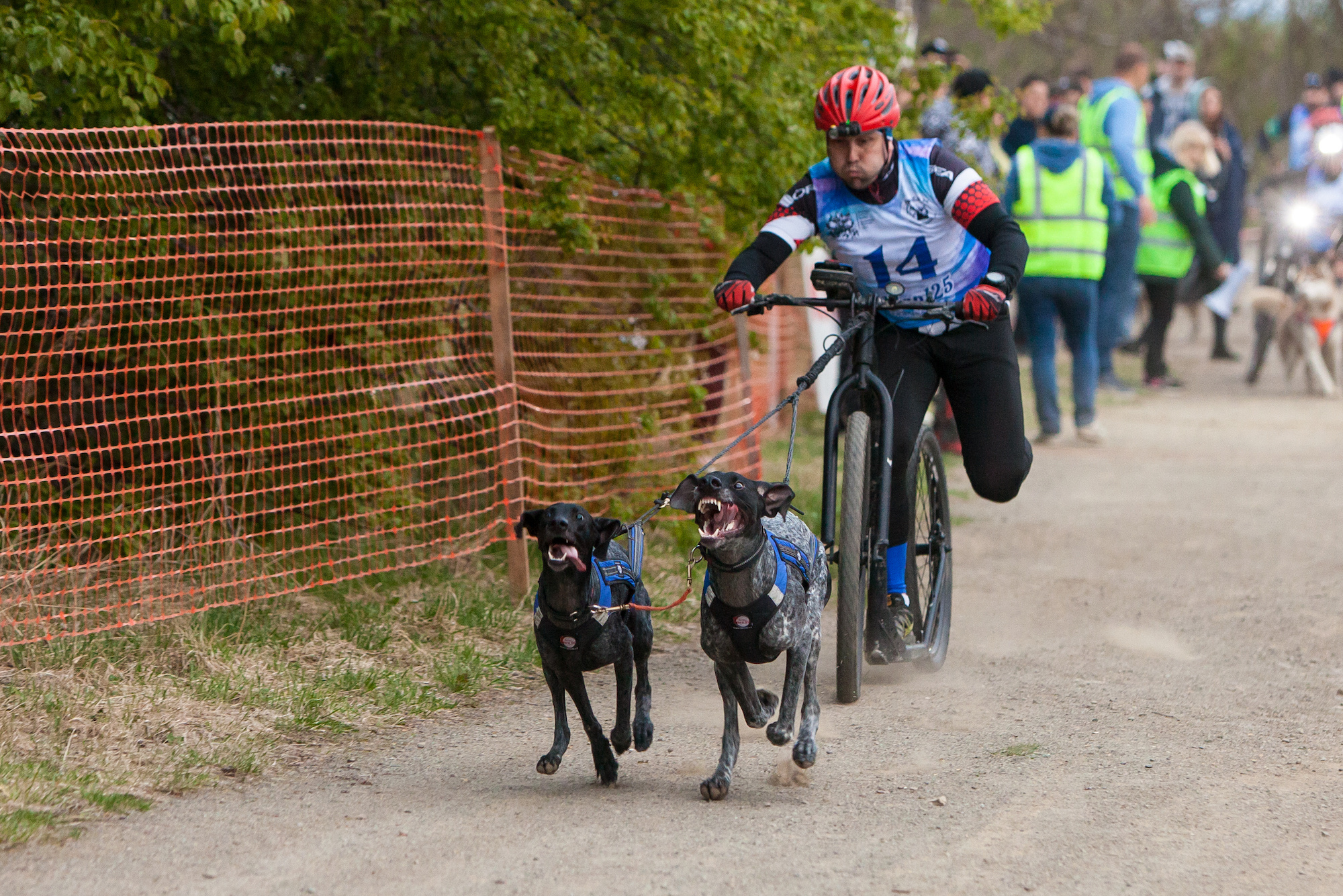 Спортивный репортаж. Фотограф во Владивостоке Осипчук Дмитрий