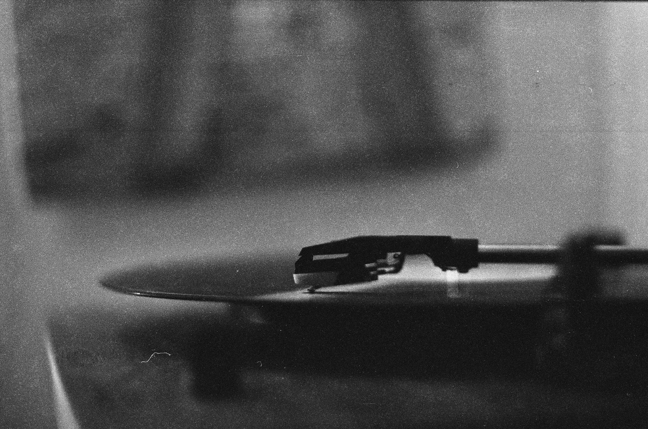 1989. Фотограф — Маслеников Константин